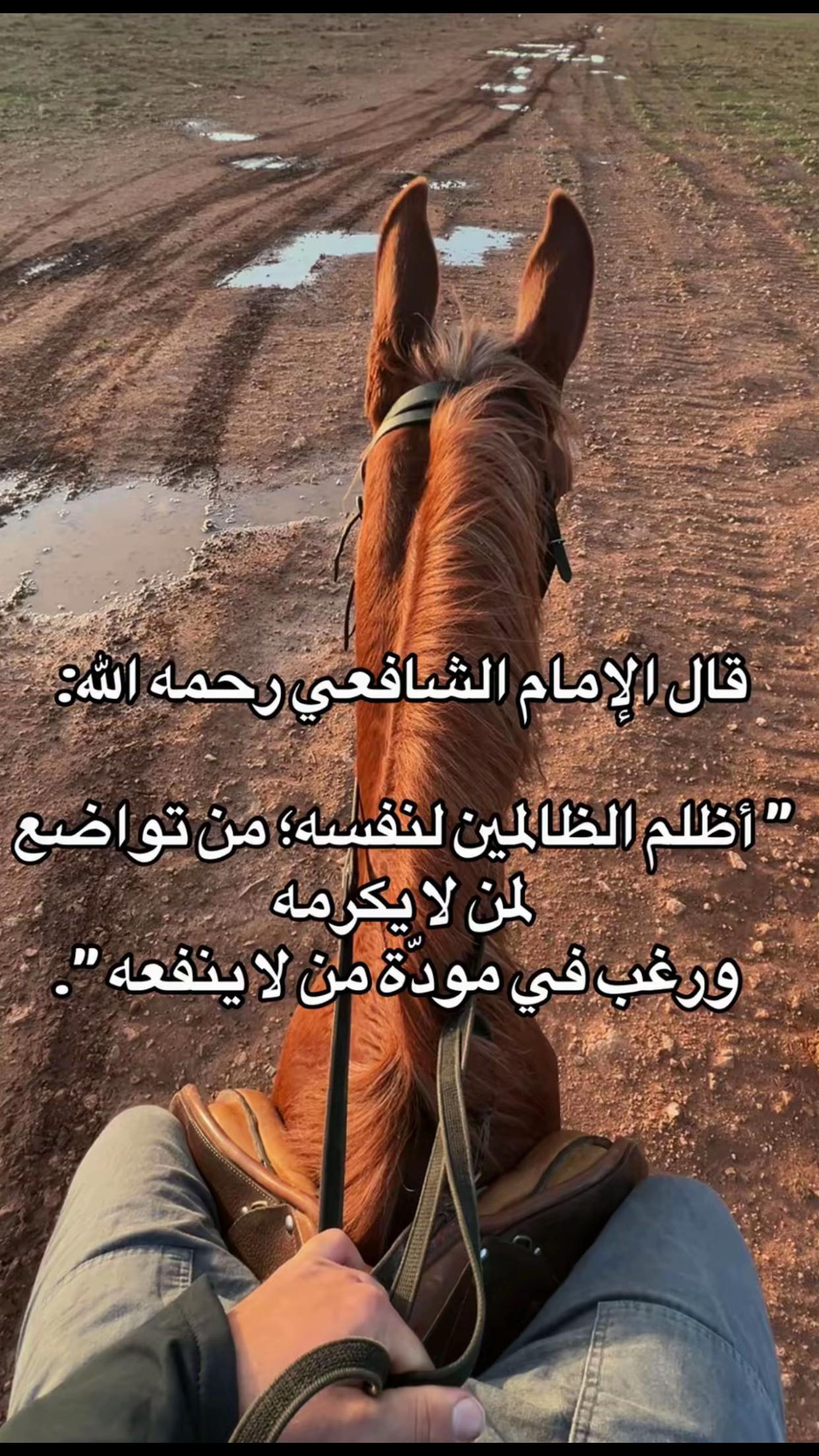 @نورالدين (أبو آمنه و عبد الله)