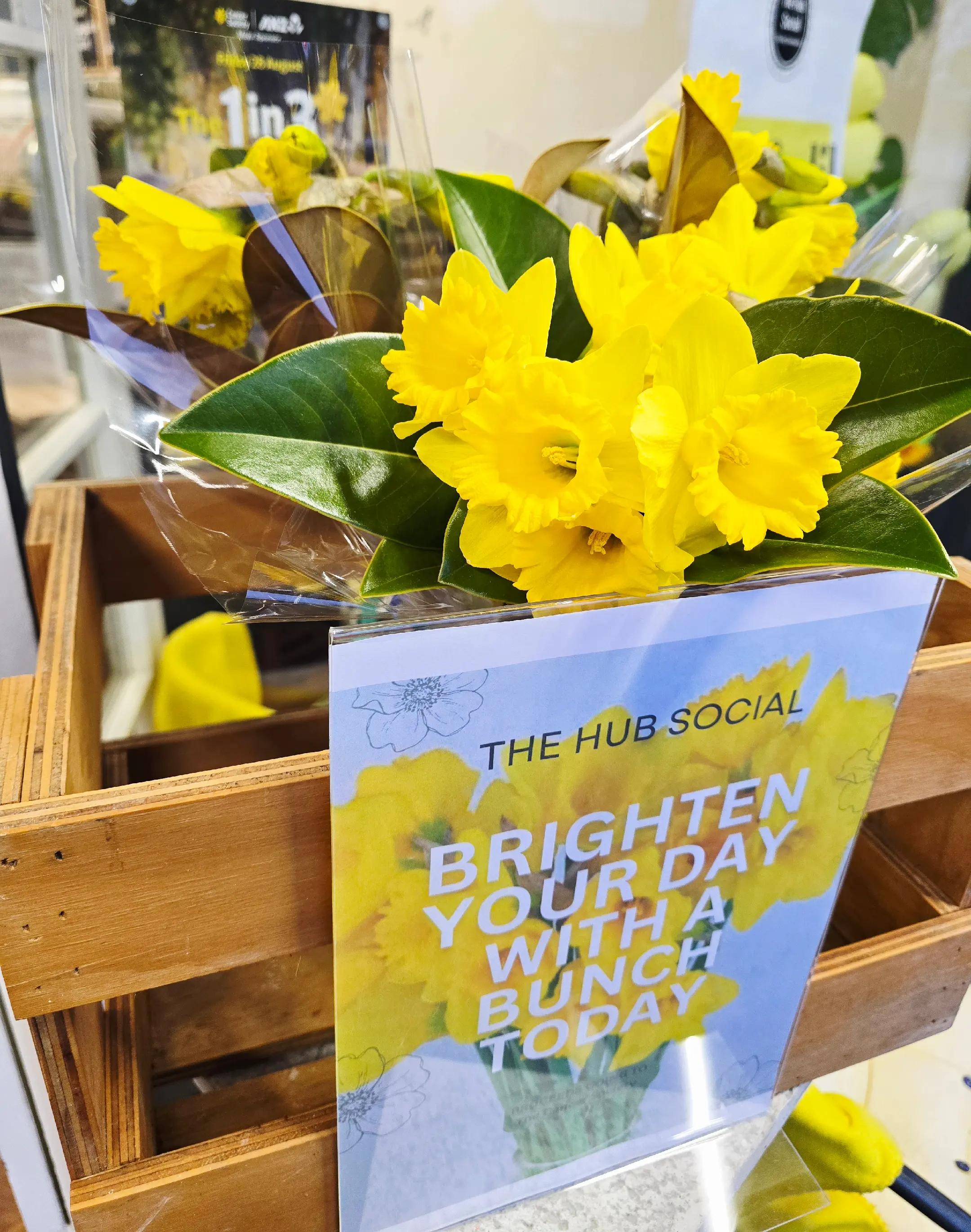 @The Hub Social - Wellington NZ