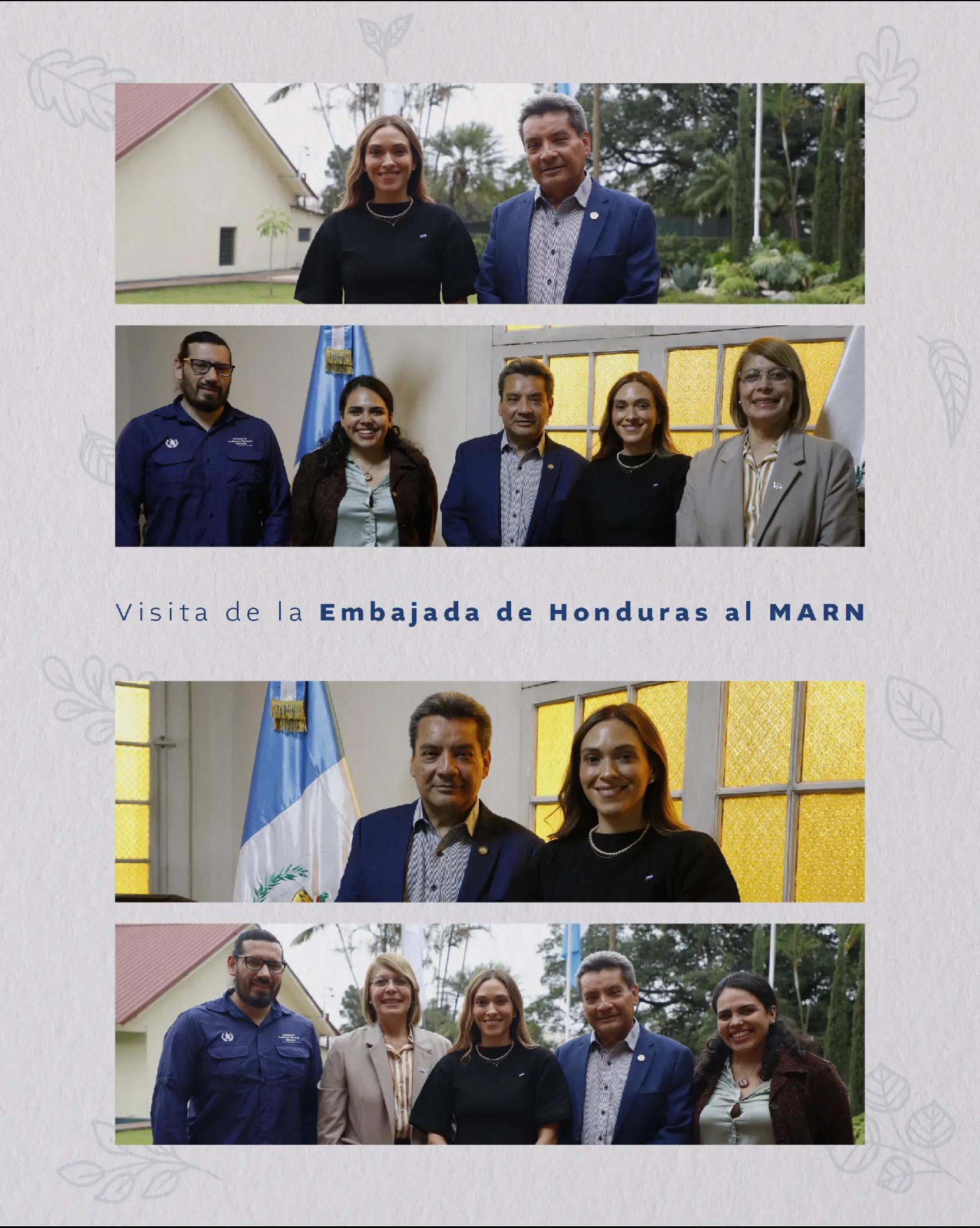 @Ministerio de Ambiente GT