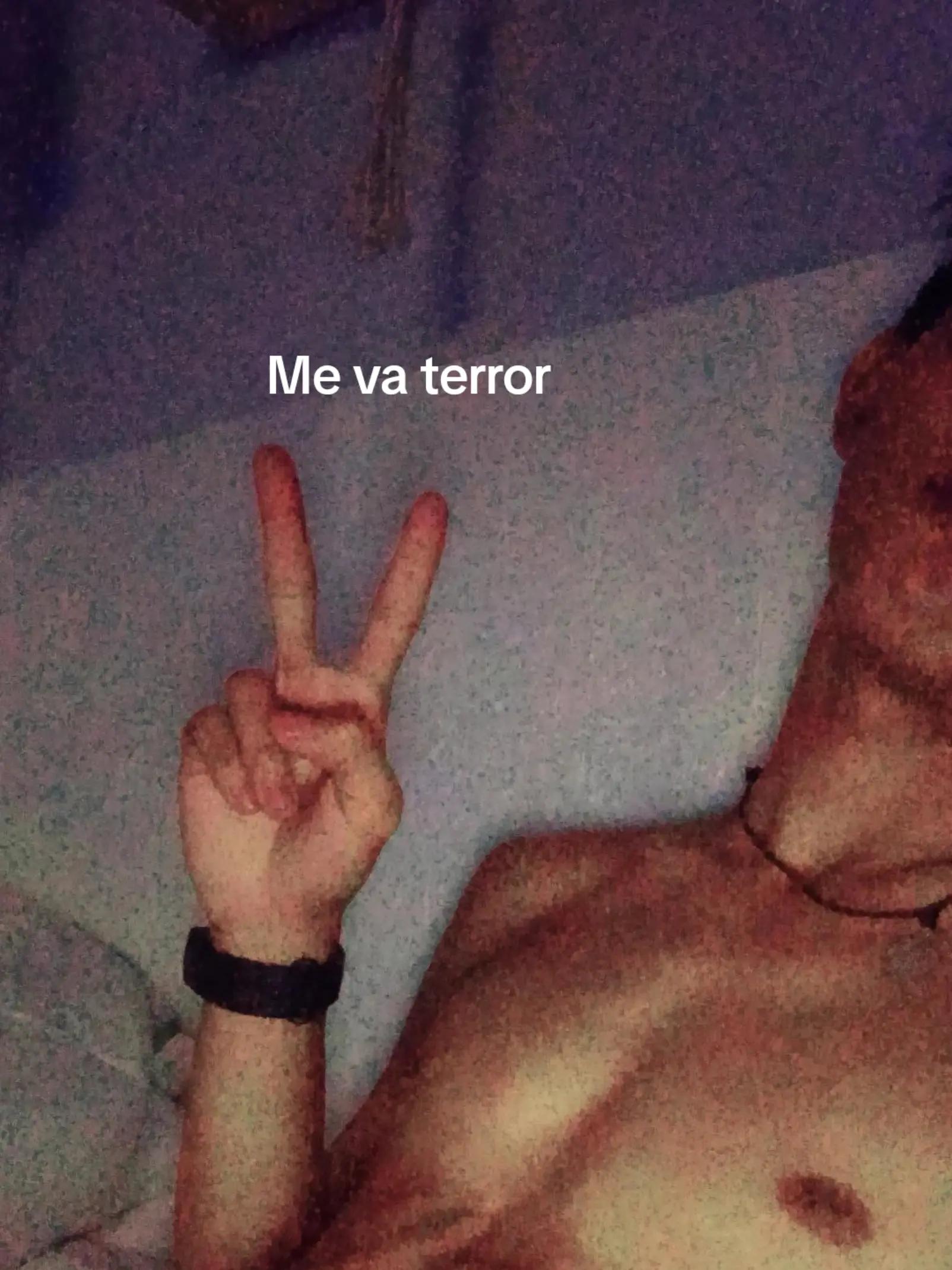 @palomo.ofici