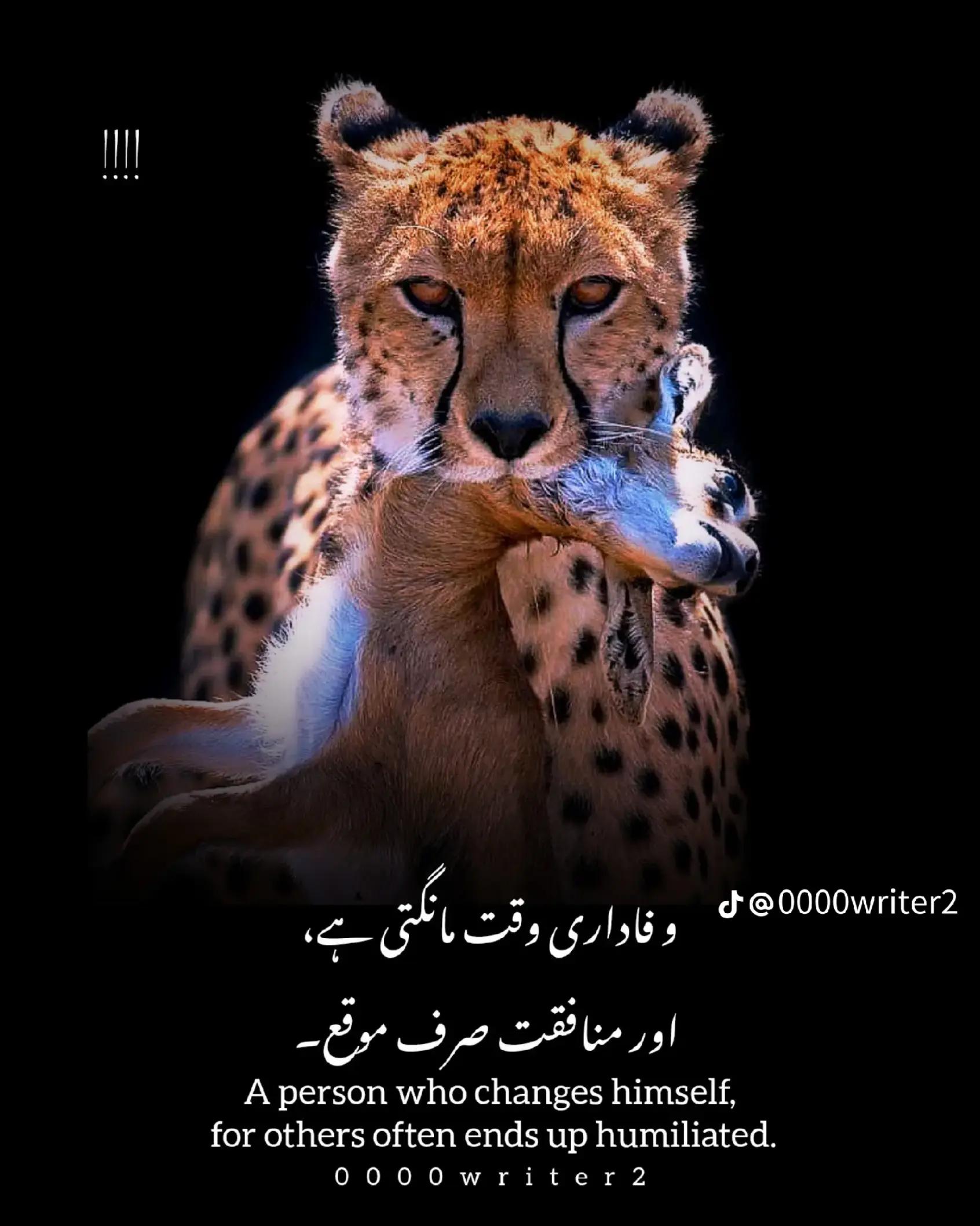 @zeebhutta0-Offical.