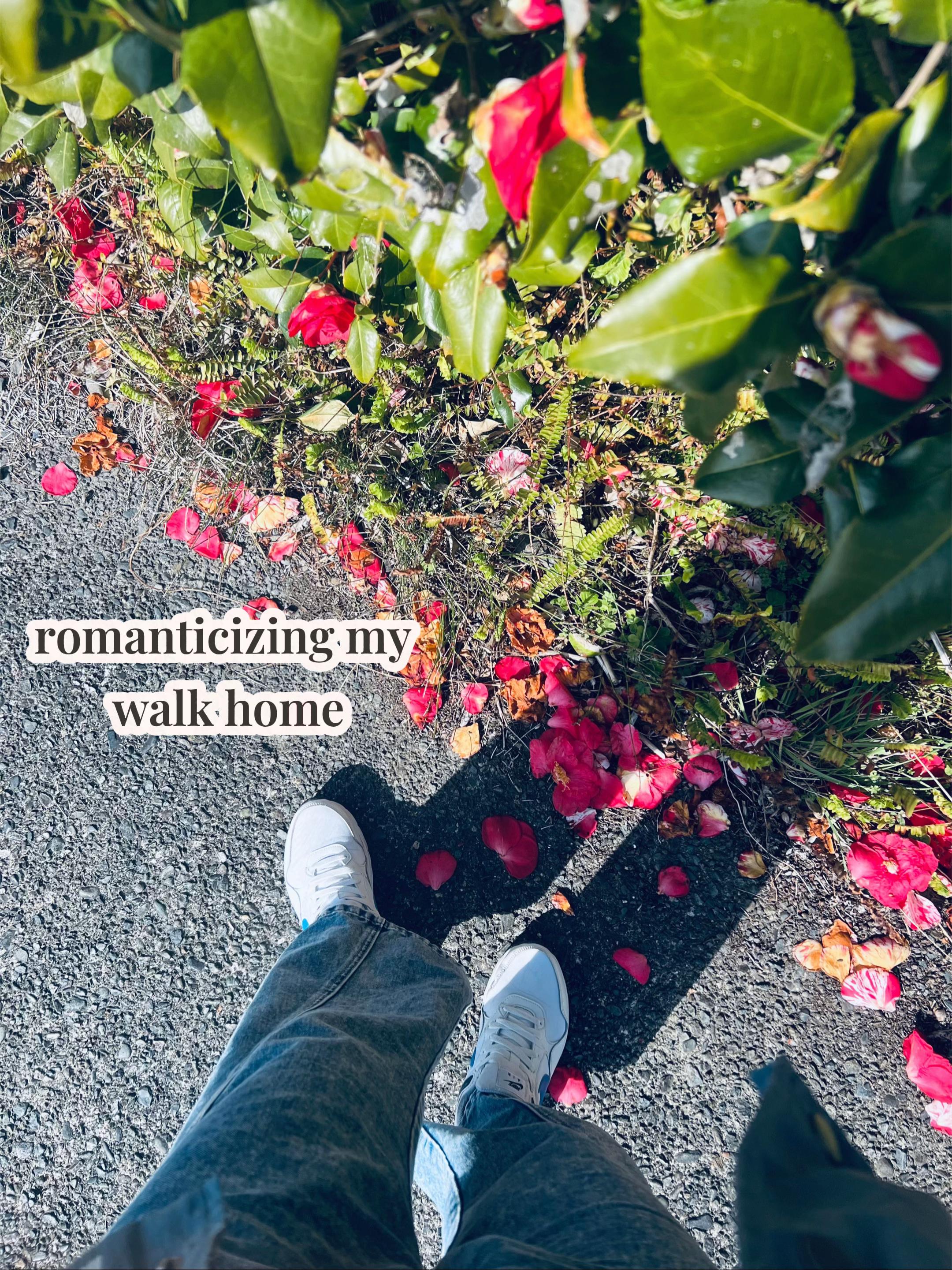 @staywithzandi