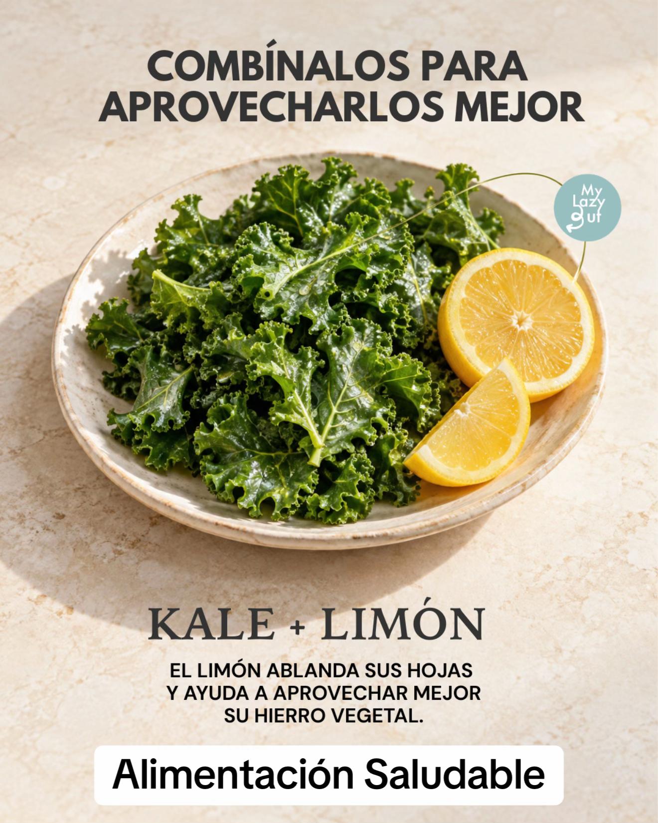 @Mylazygut/Digestión Saludable