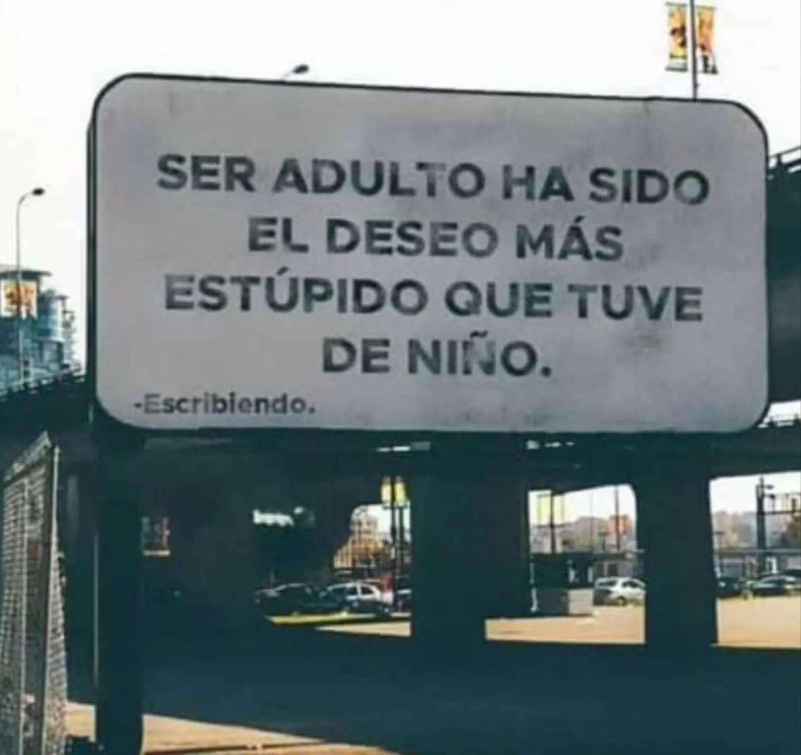 @nieveslarubiagallega