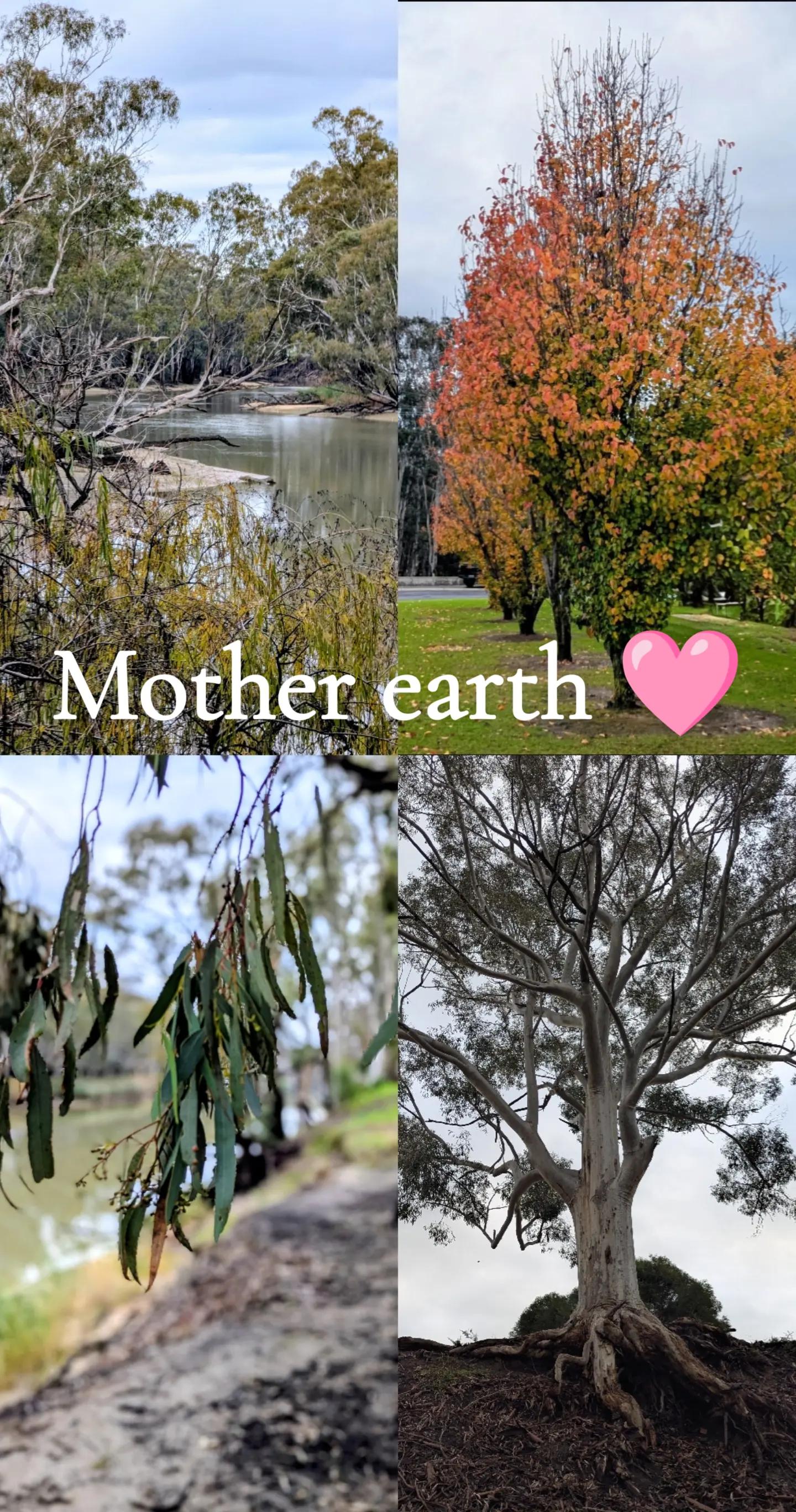 @Danielle 🇦🇺🖤💛❤️