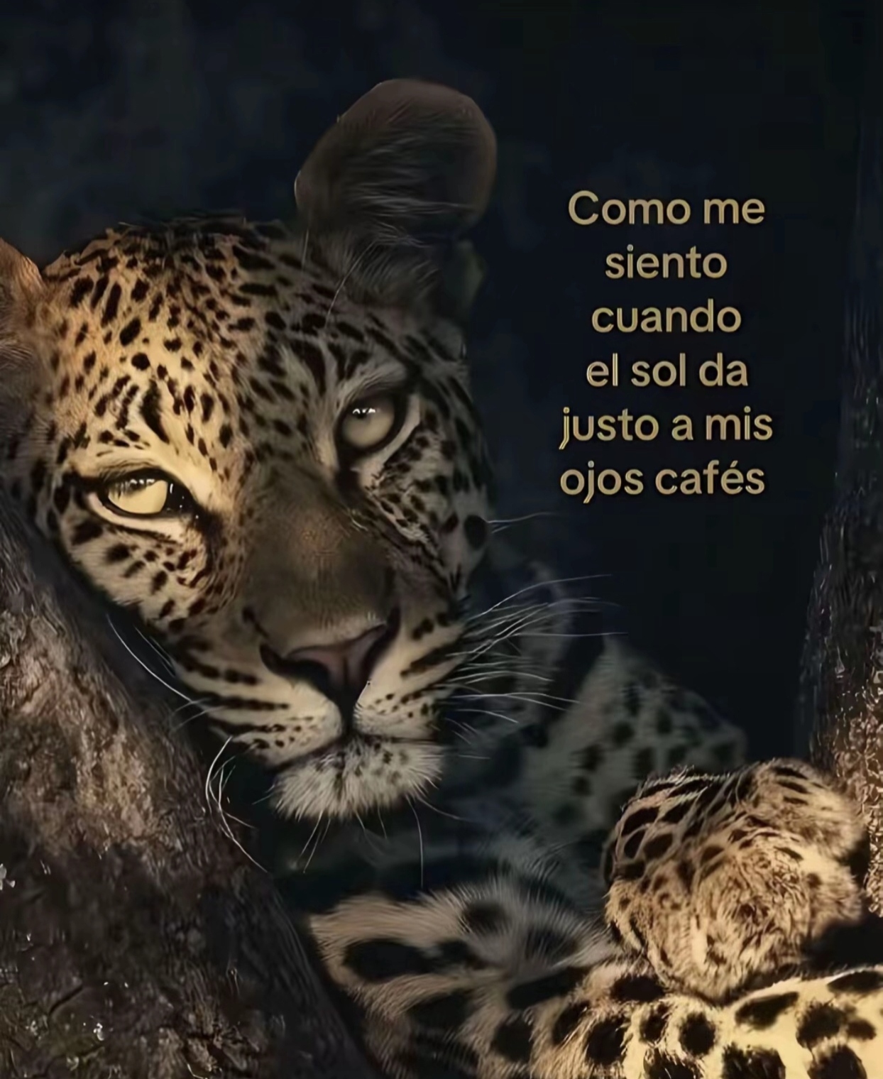 @Alexa beini