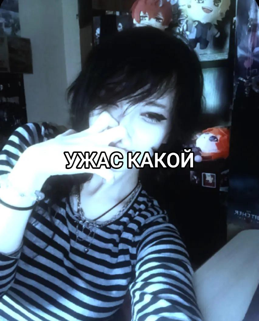 @velloypup