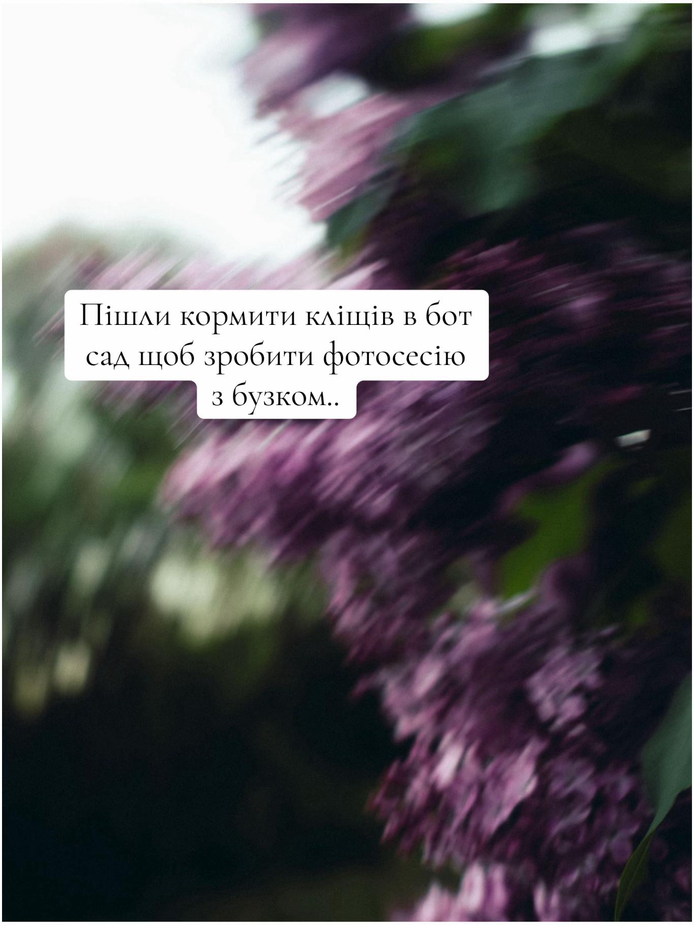 @zolota.photo