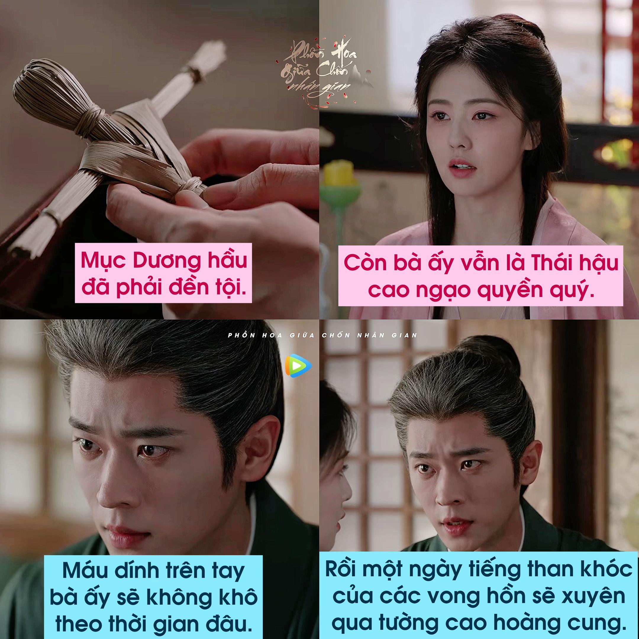 @Phồn Hoa Giữa Chốn Nh&acirc;n Gian🌸