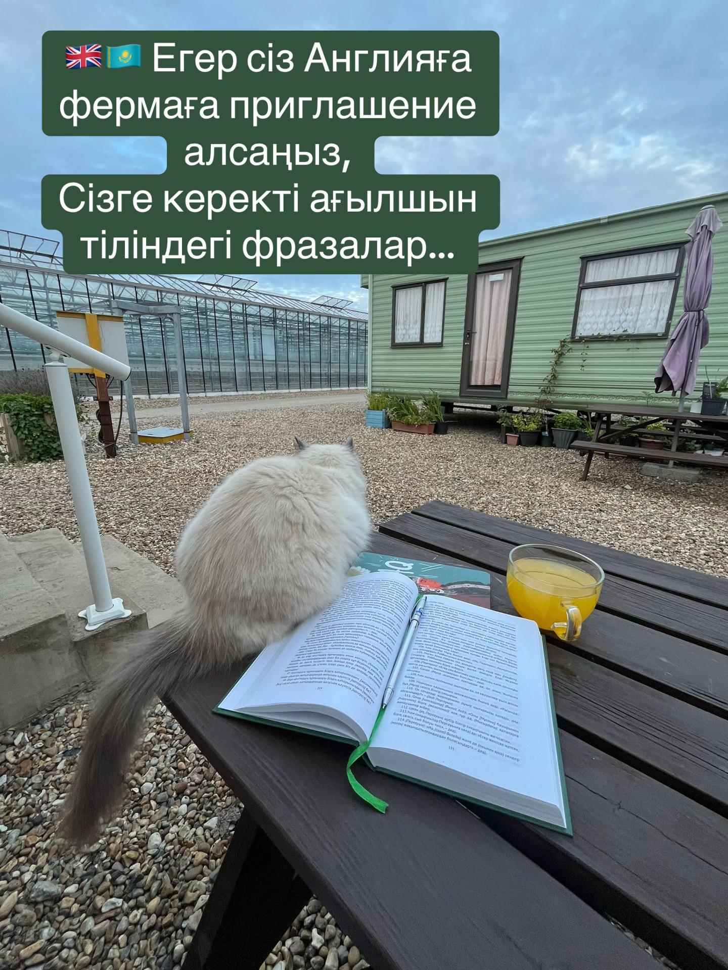 @Balzhan.Sultan🇬🇧🇰🇿
