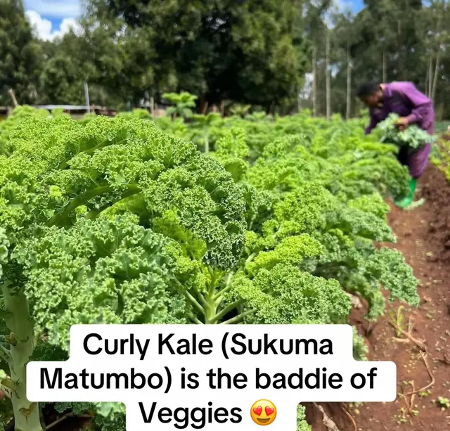 @Caleb Karuga - Farmercist