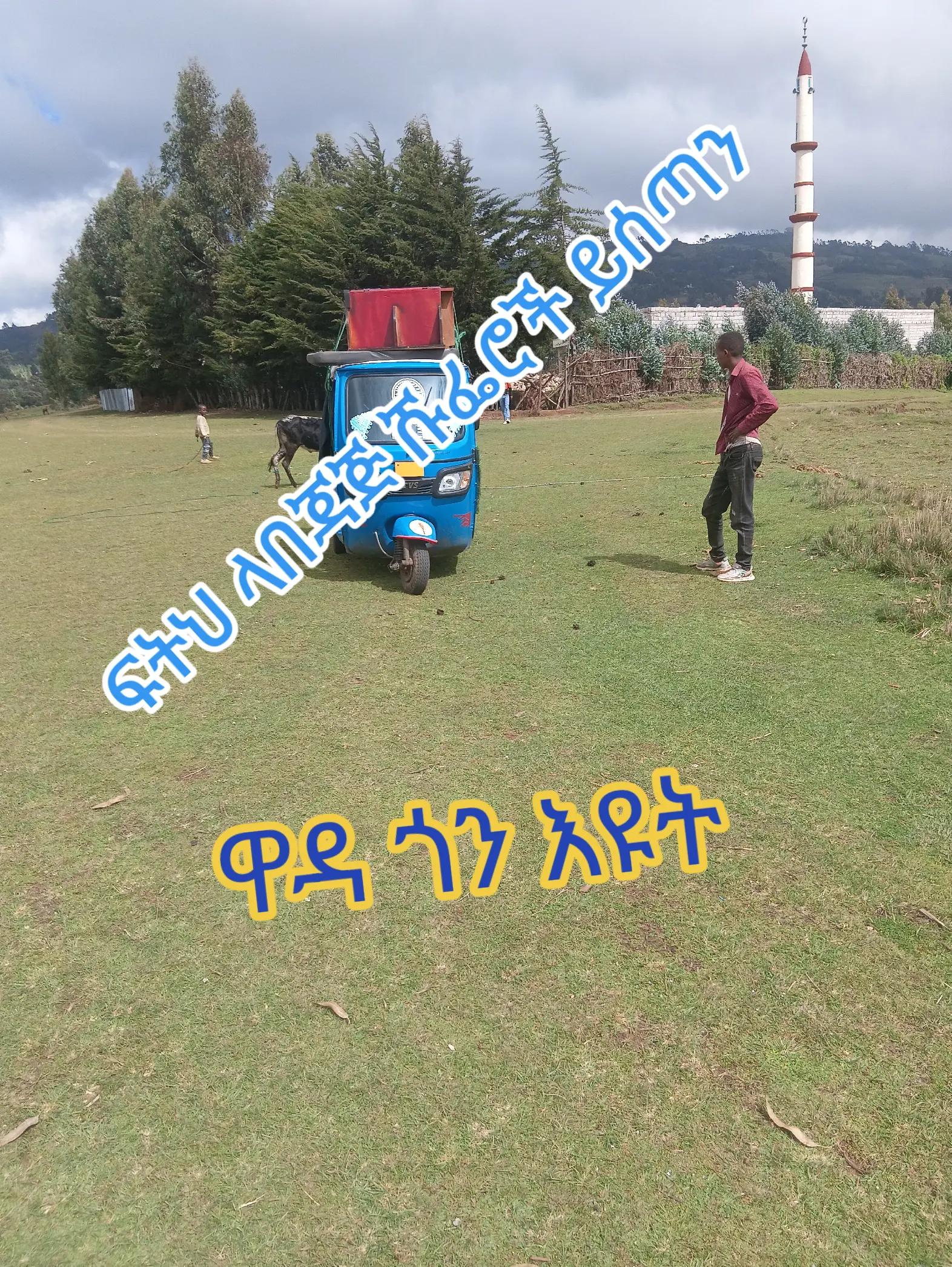 @ጀማሪው ነኝ❤💞