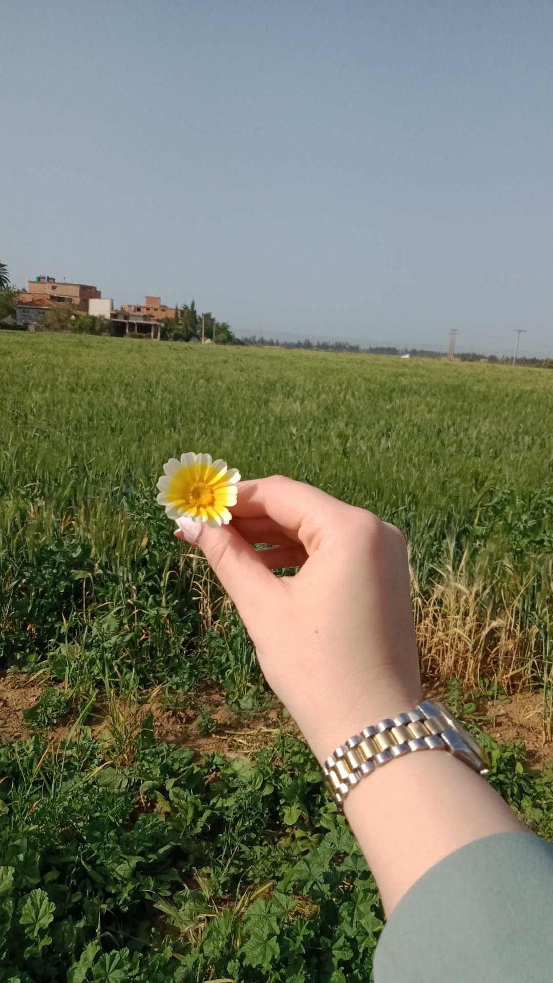 @✨