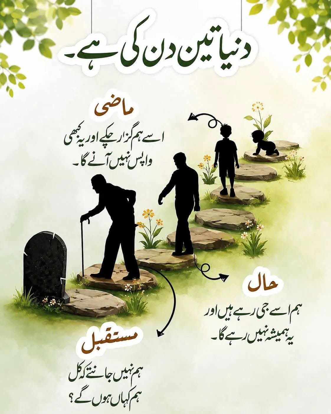 @M ilyas khan