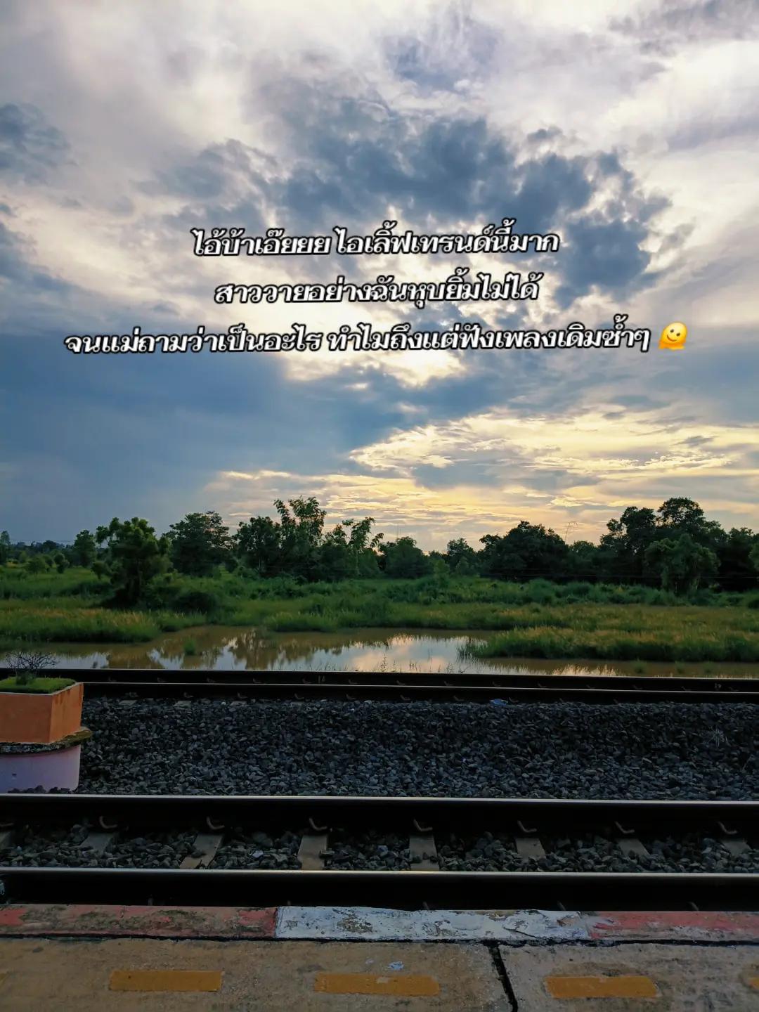 @ม๊าว
