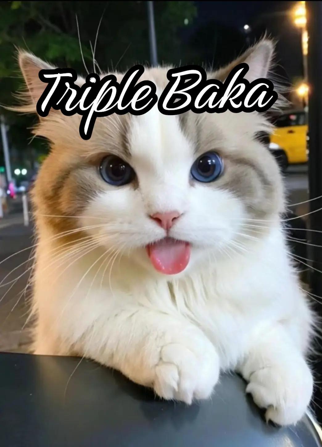 @Rubhub