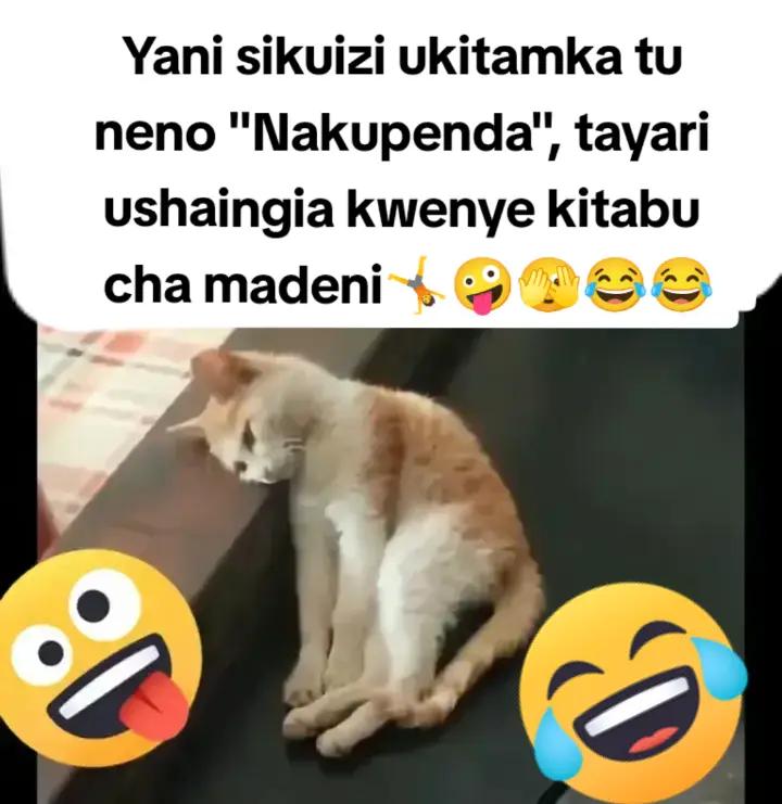 @🐙🫅0ctopersDuduMbaya🇰🇪#🇨🇦
