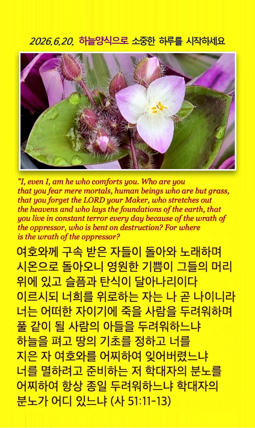 @피켓전도 김종일 목사