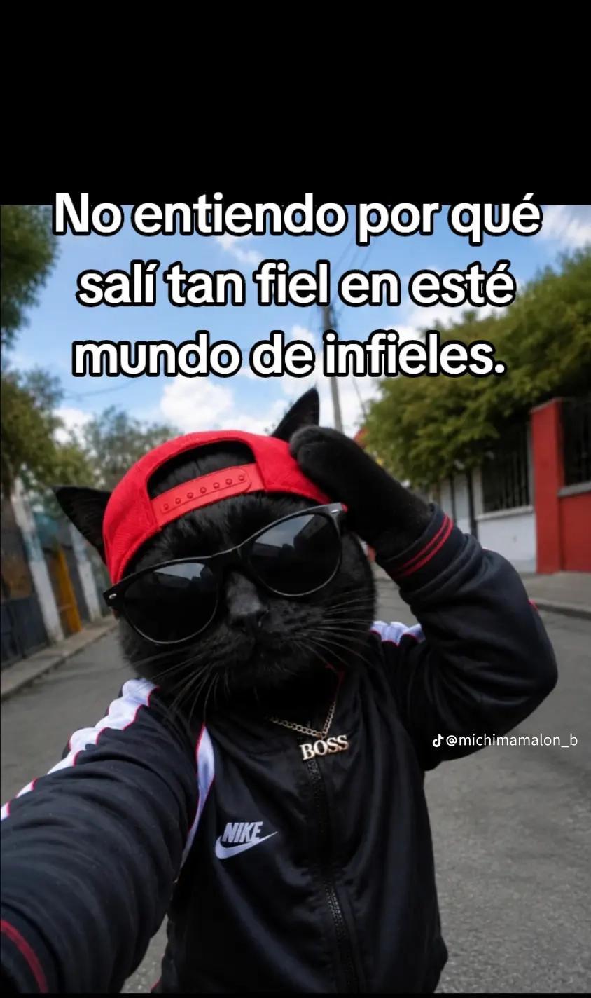 @Alex Rangel