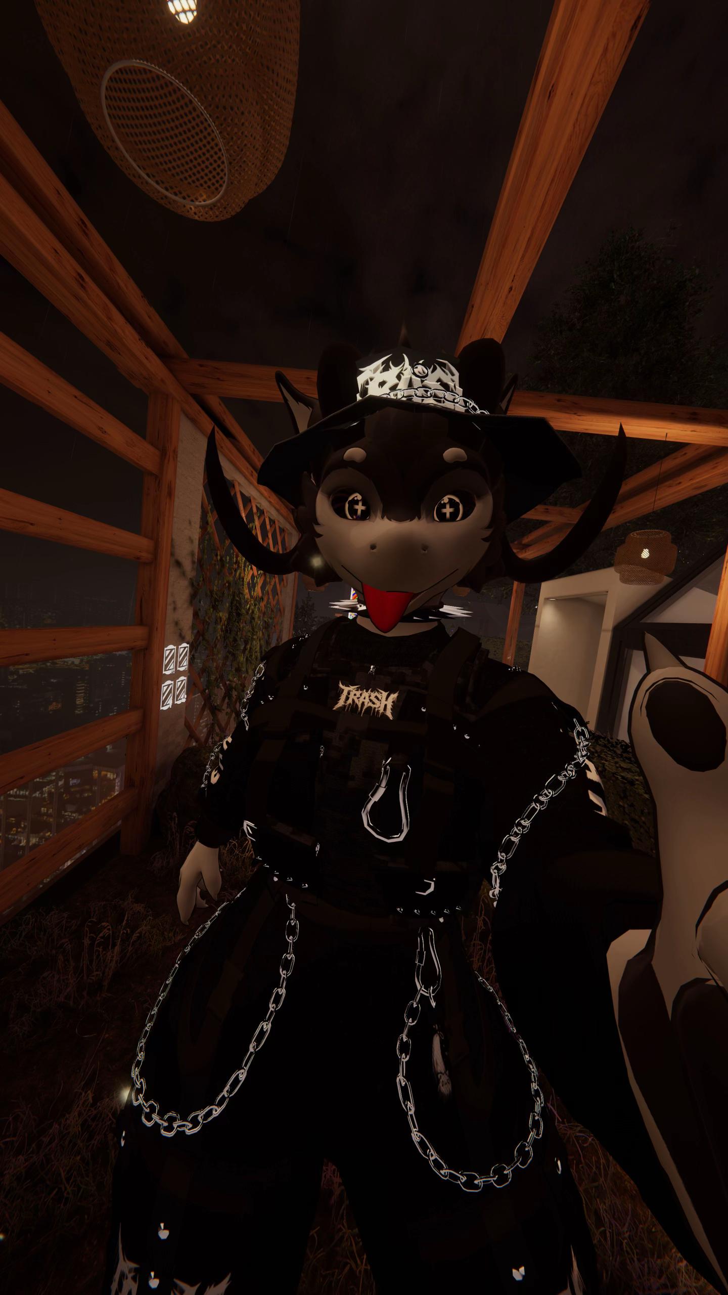 @mawswithpaws