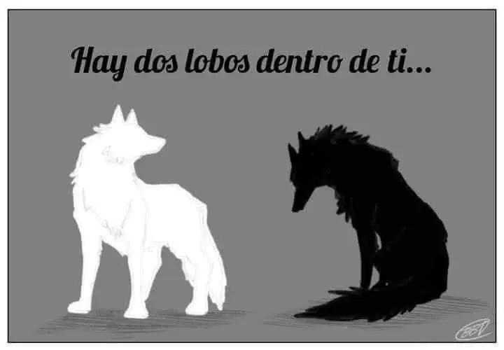 @♦ScanBunny♦