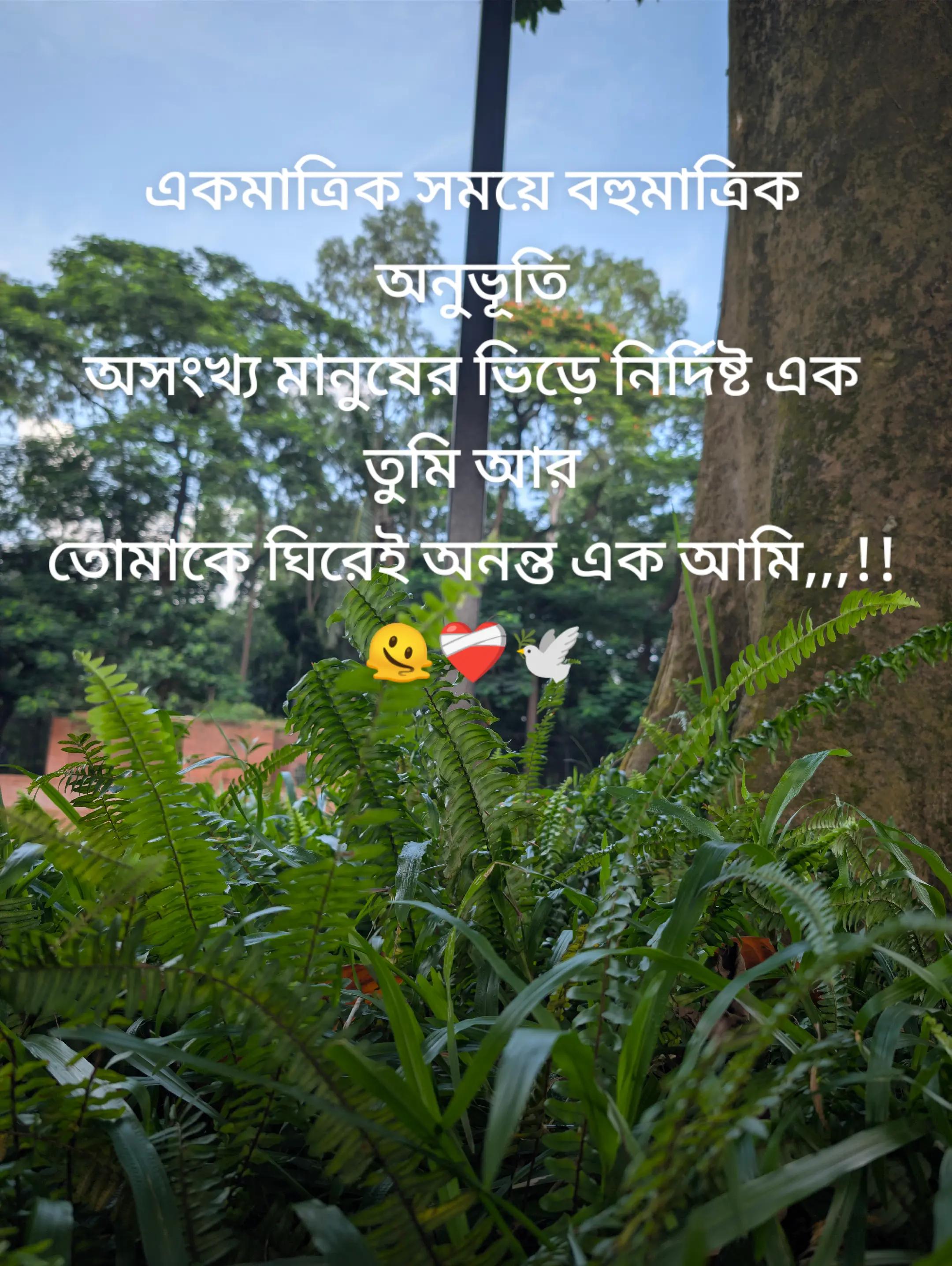 @Nafisa