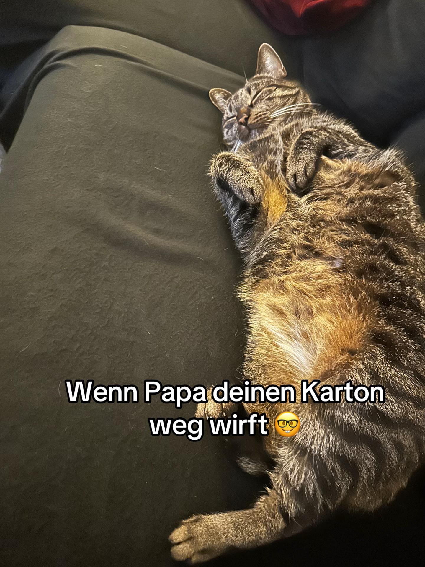 @Happykittycats_