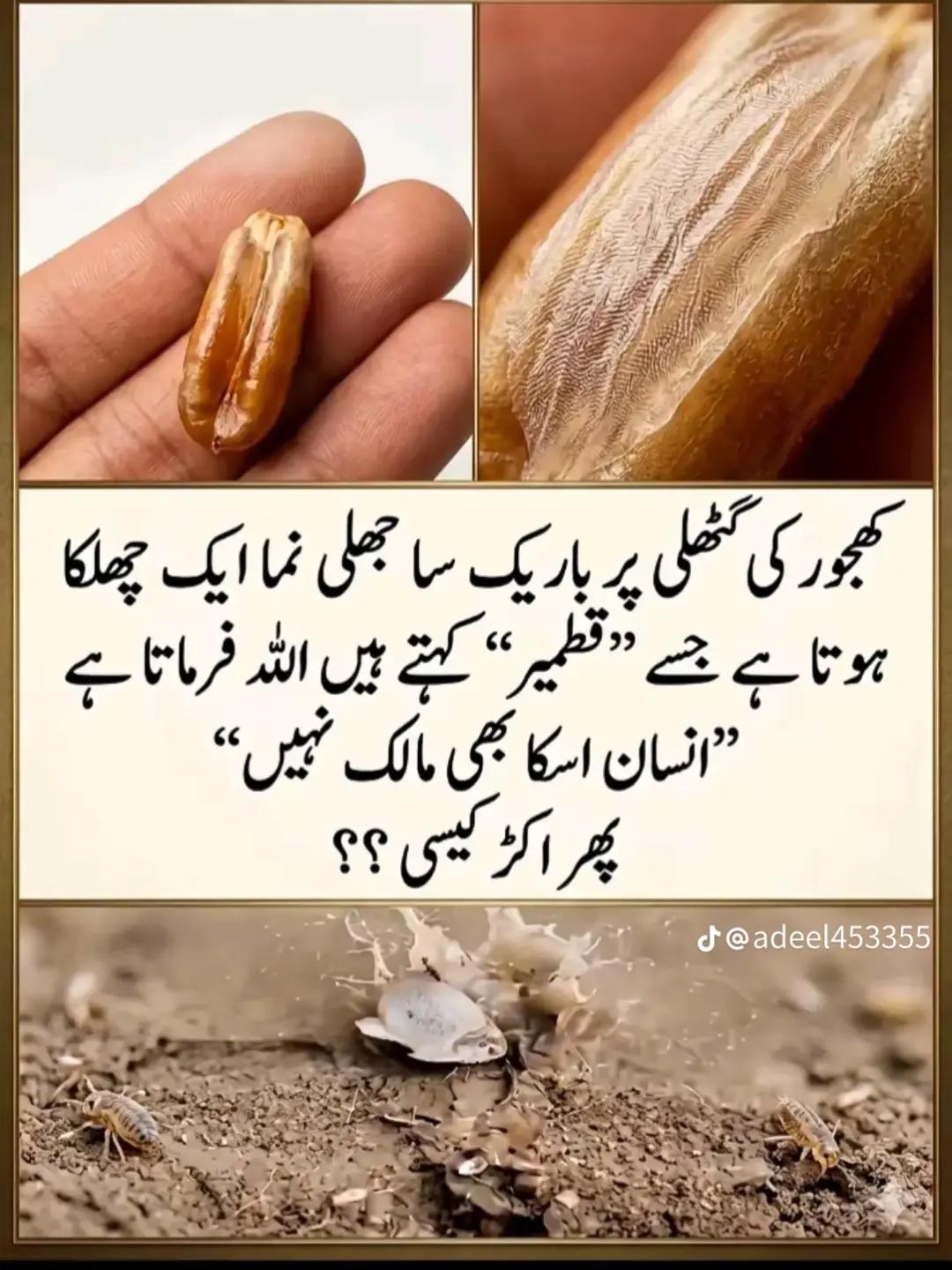 @MéhãrRáhéèl