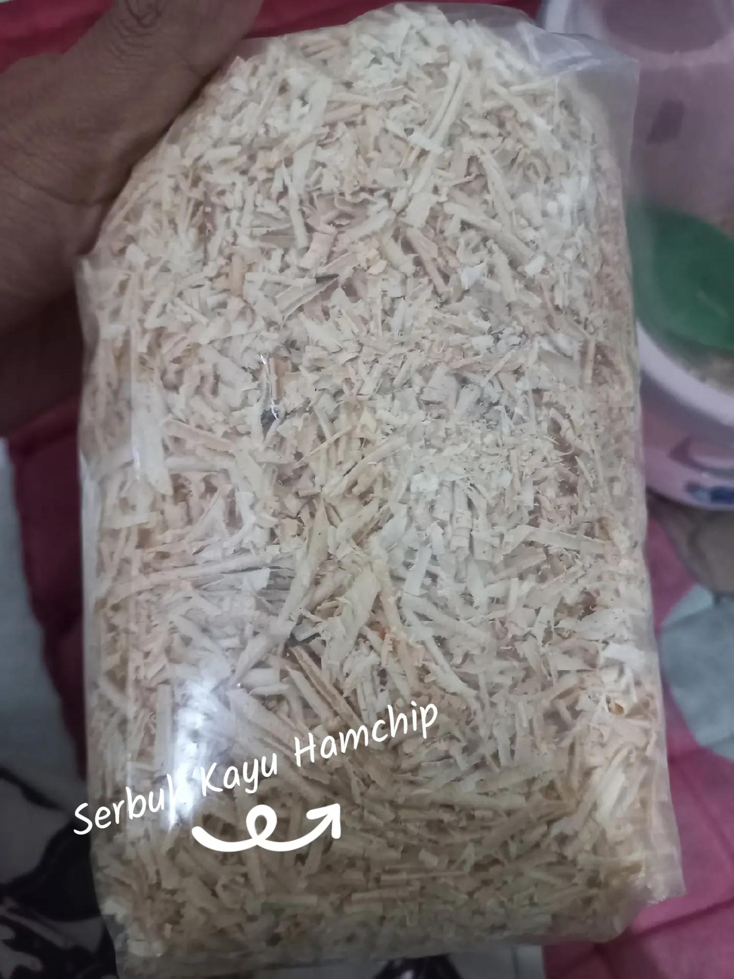 @Hamsterfiles