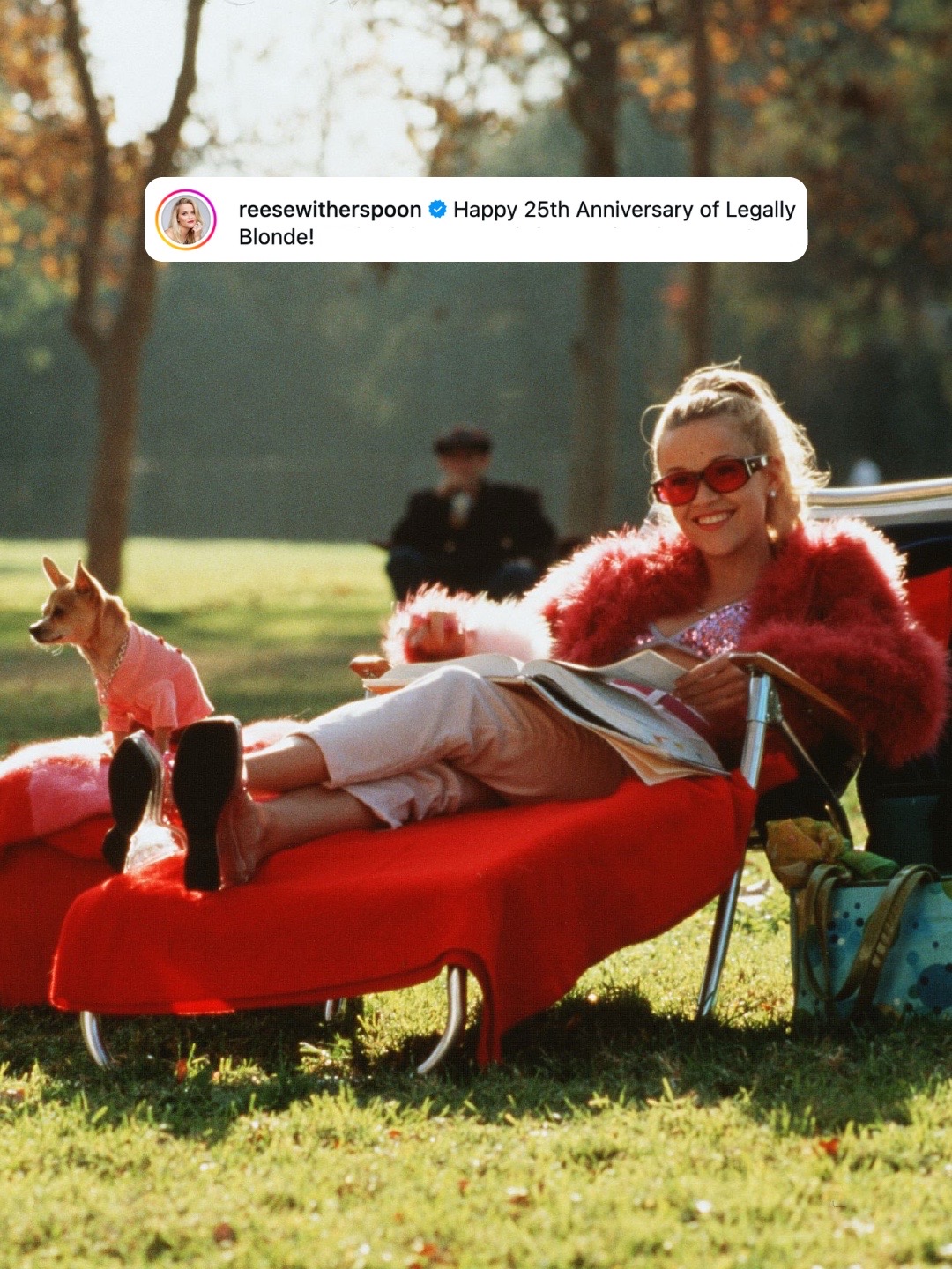 @whowhatwear