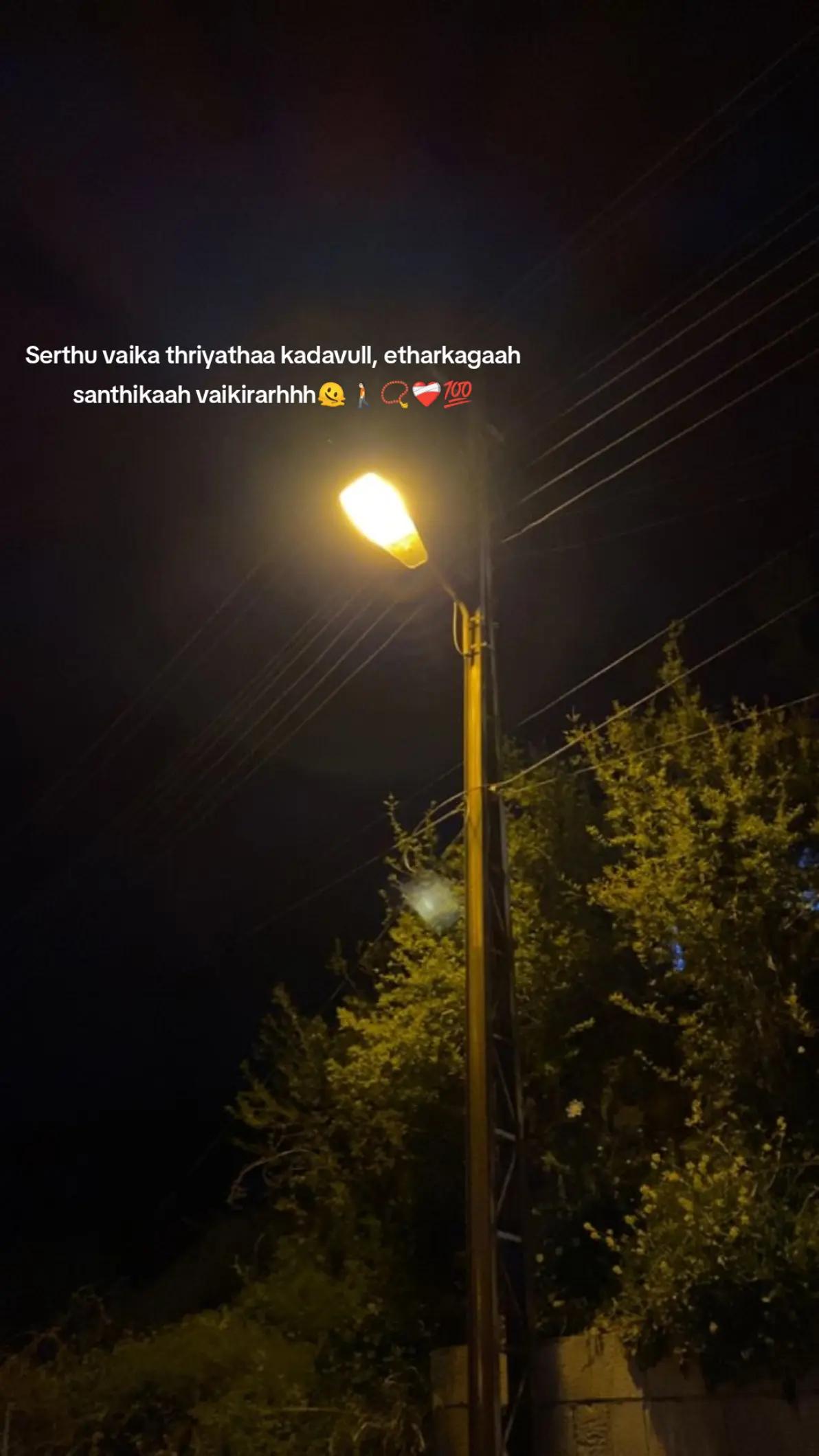 @🌚🤍கனவுகளின் காதலி🤍🌚