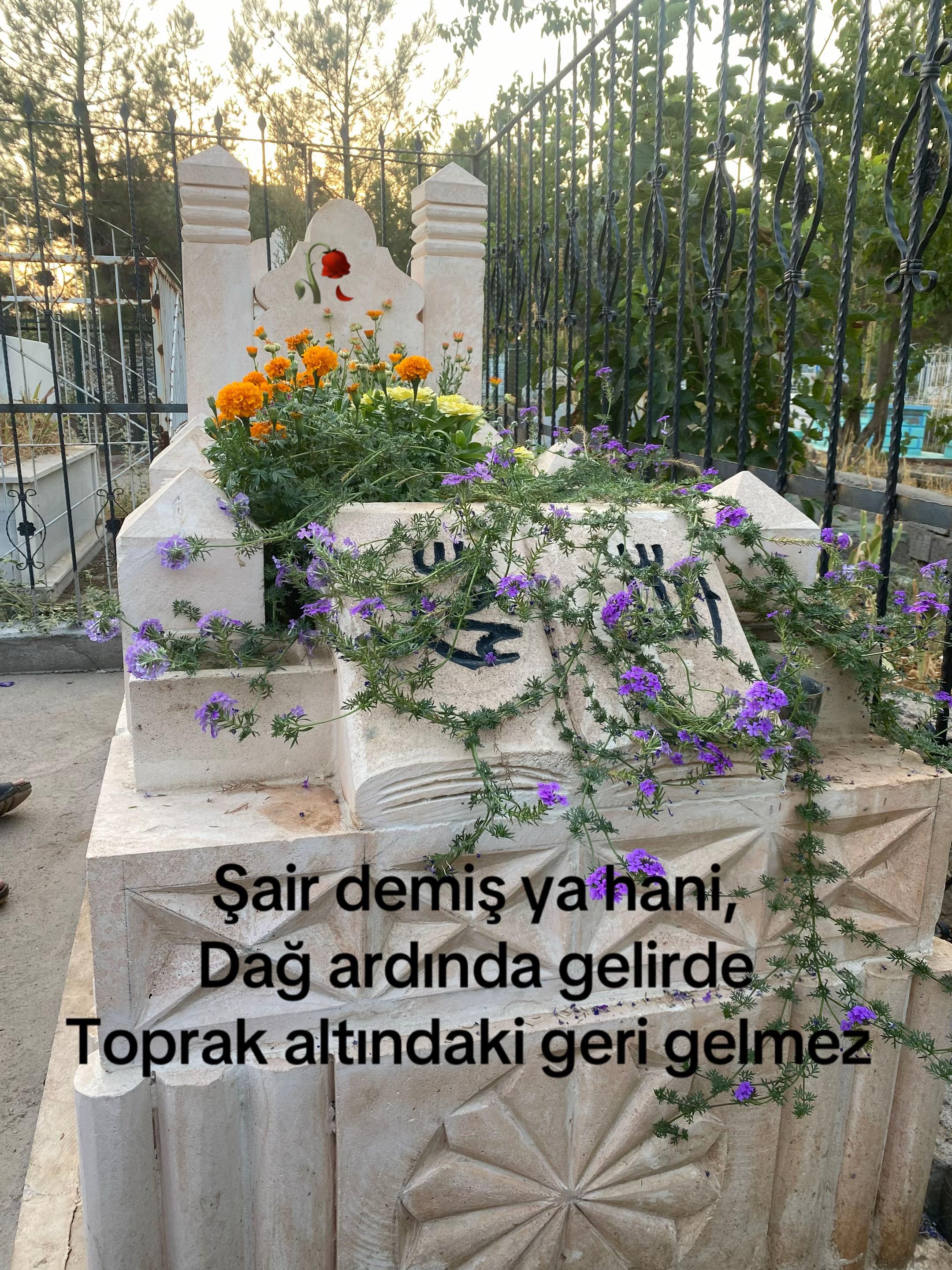 @Leyla y&uuml;ksel ipek