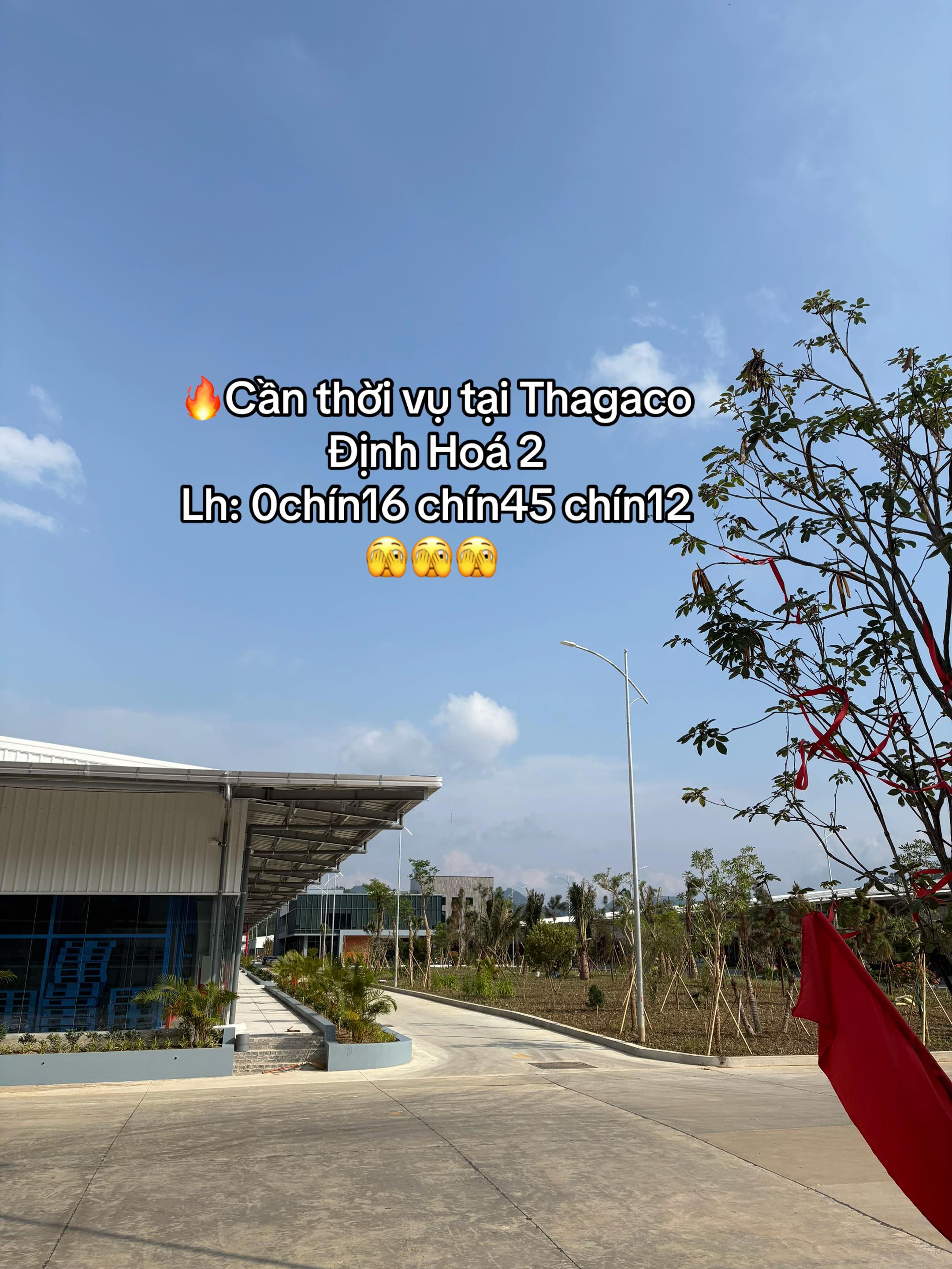 @Trang tuyển dụng Thagaco