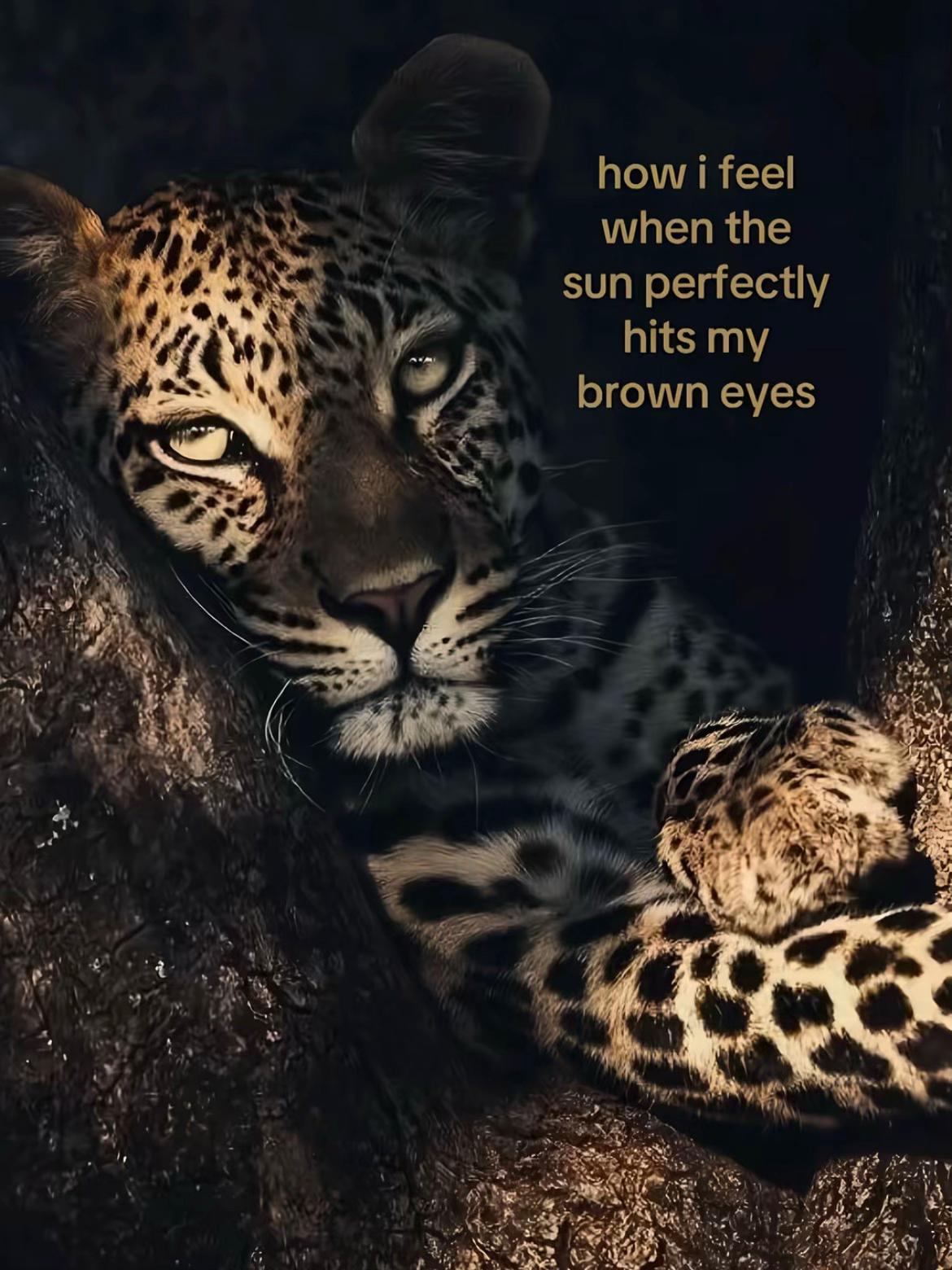 @ash_thescientist