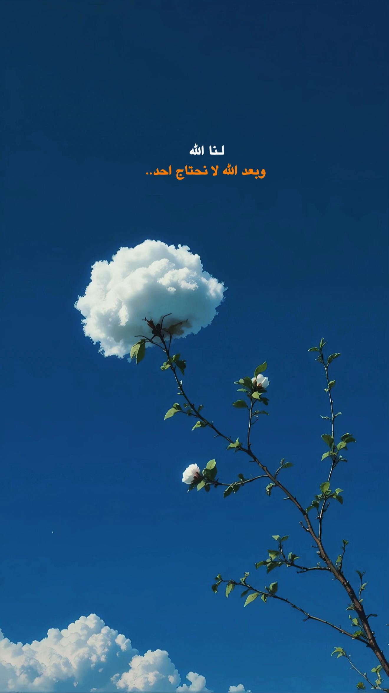 @مـهـند📚