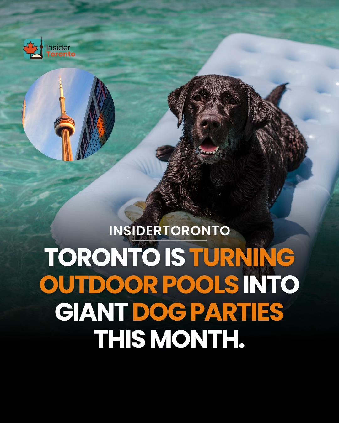 @insidertoronto
