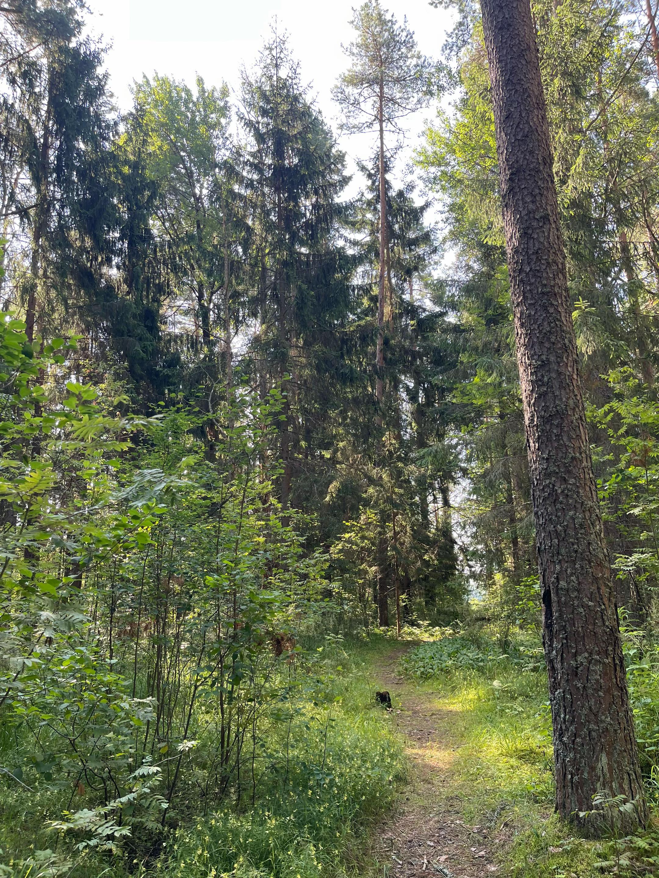 @вероничка