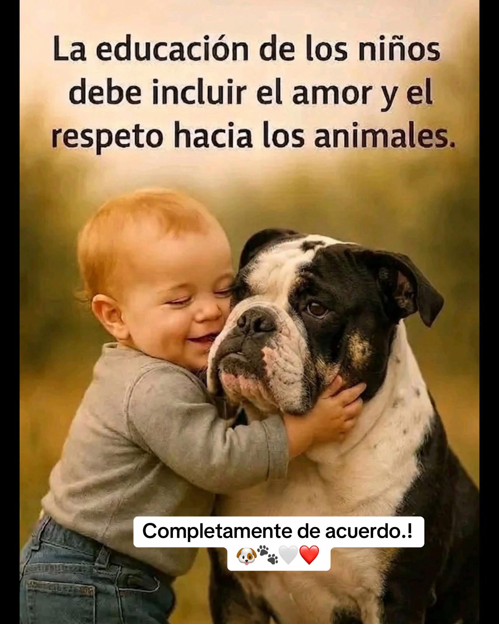 @Patricia Briceño