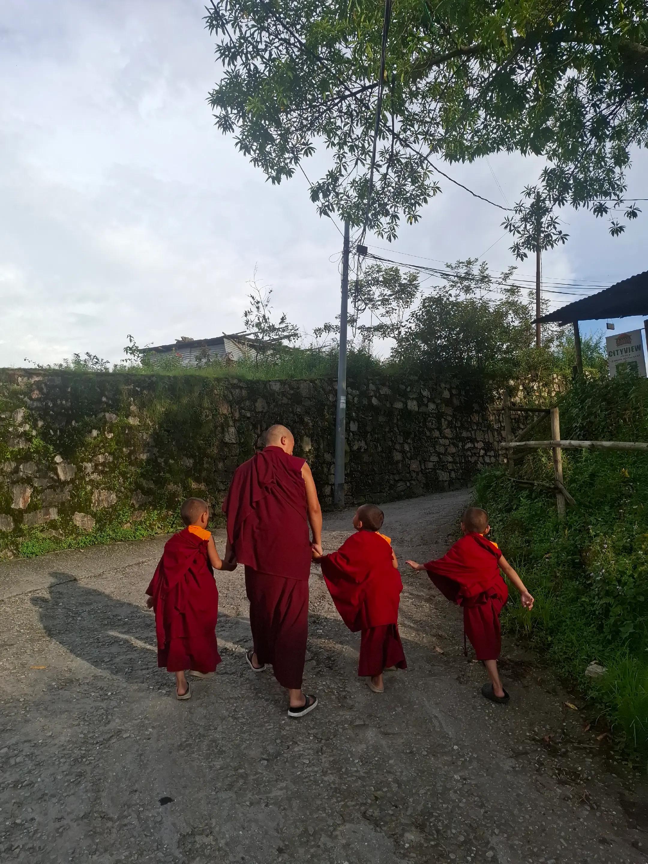 @Mukhya Gurung