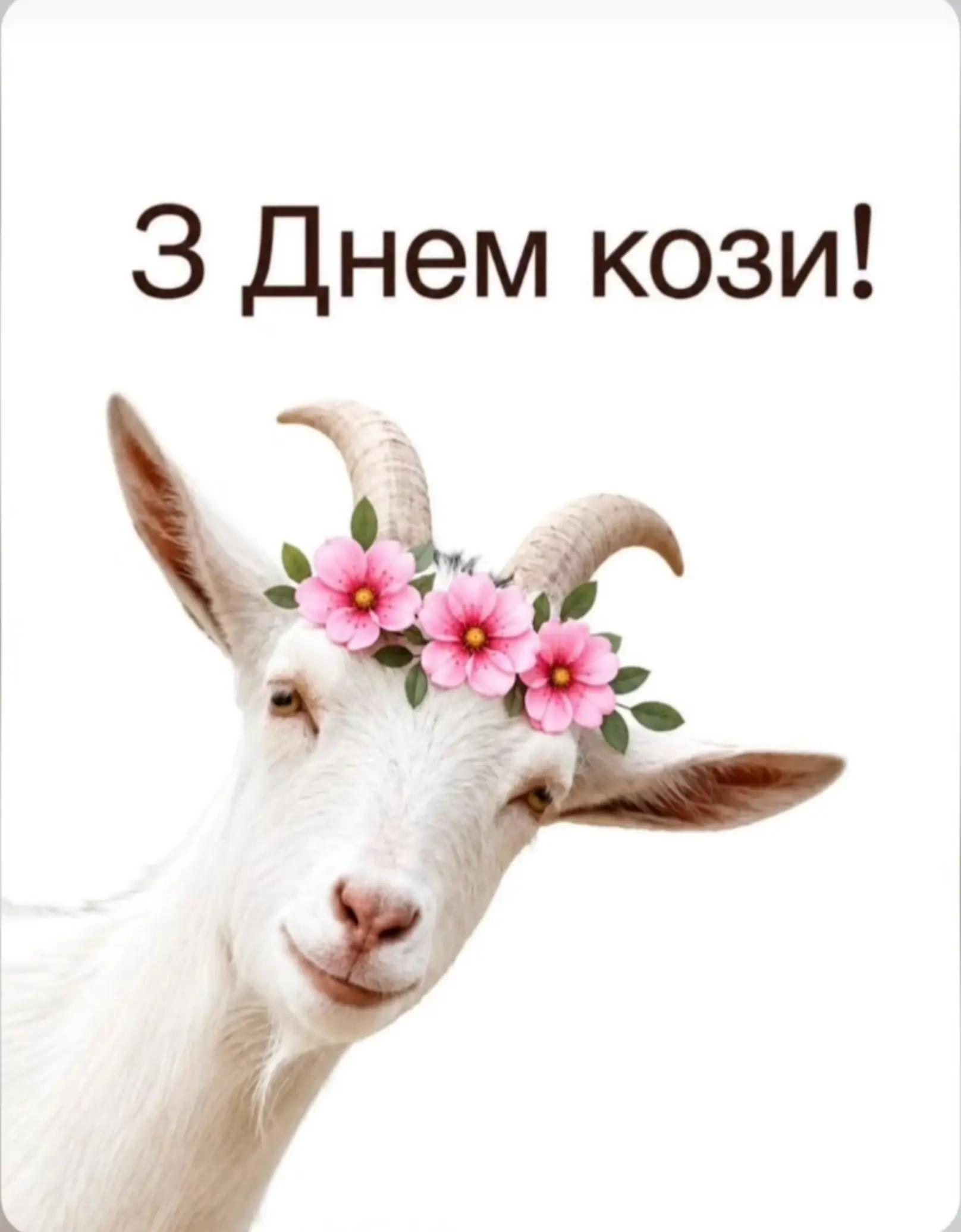 @ELENATTPOLTAVA