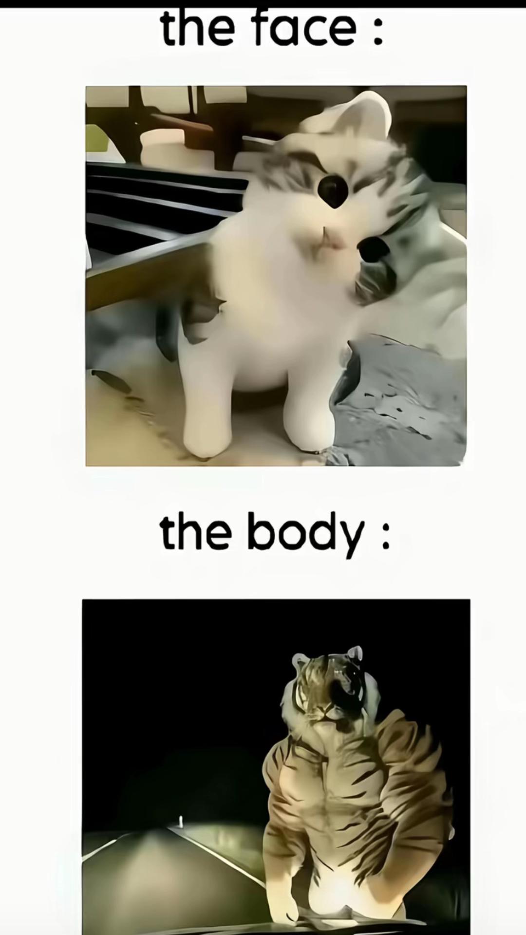 @𝐃𝐢