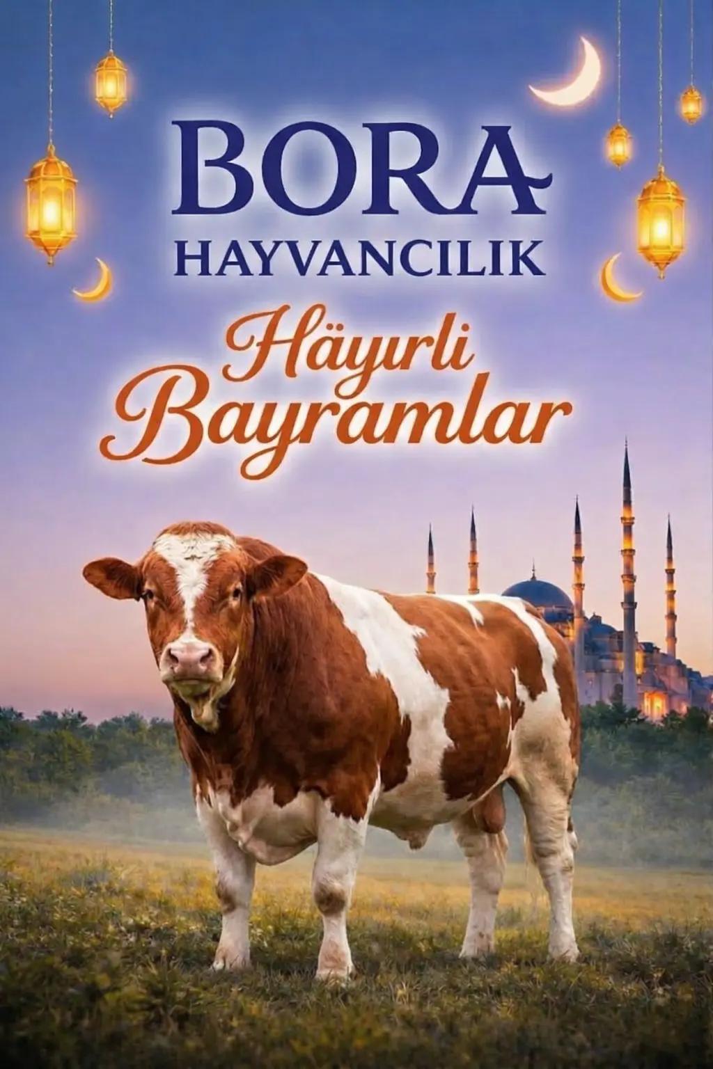 @Gökhan Çoban