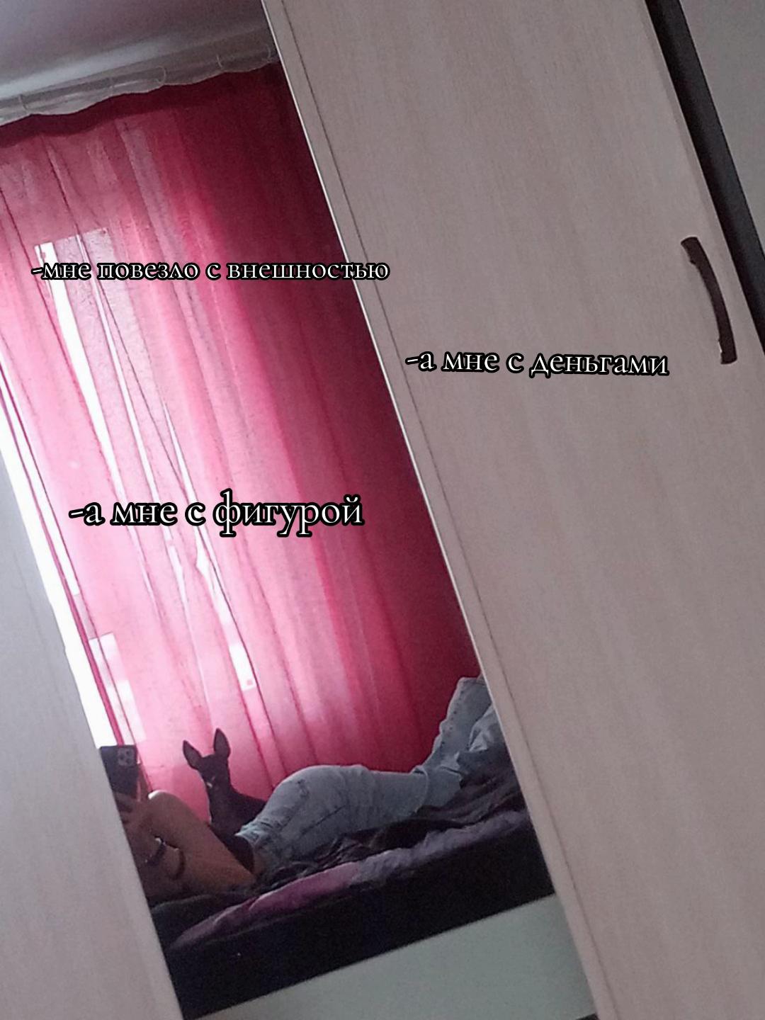 @белка 🛐