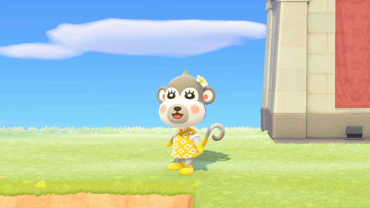 @chichimon