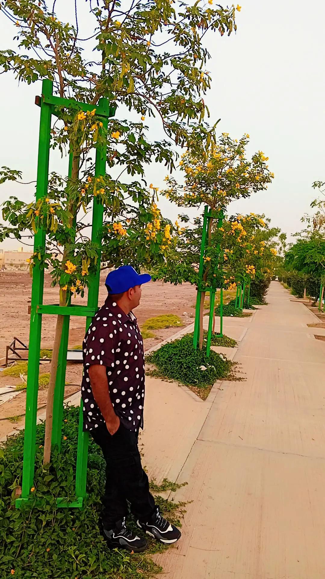 @Niyaj