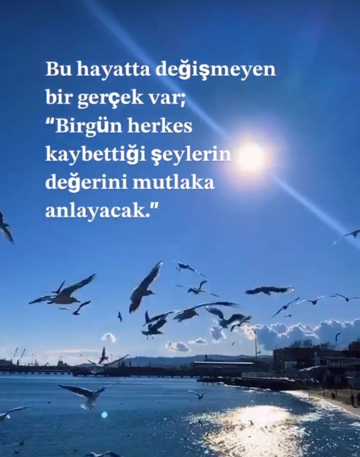 @MELEK 🎀