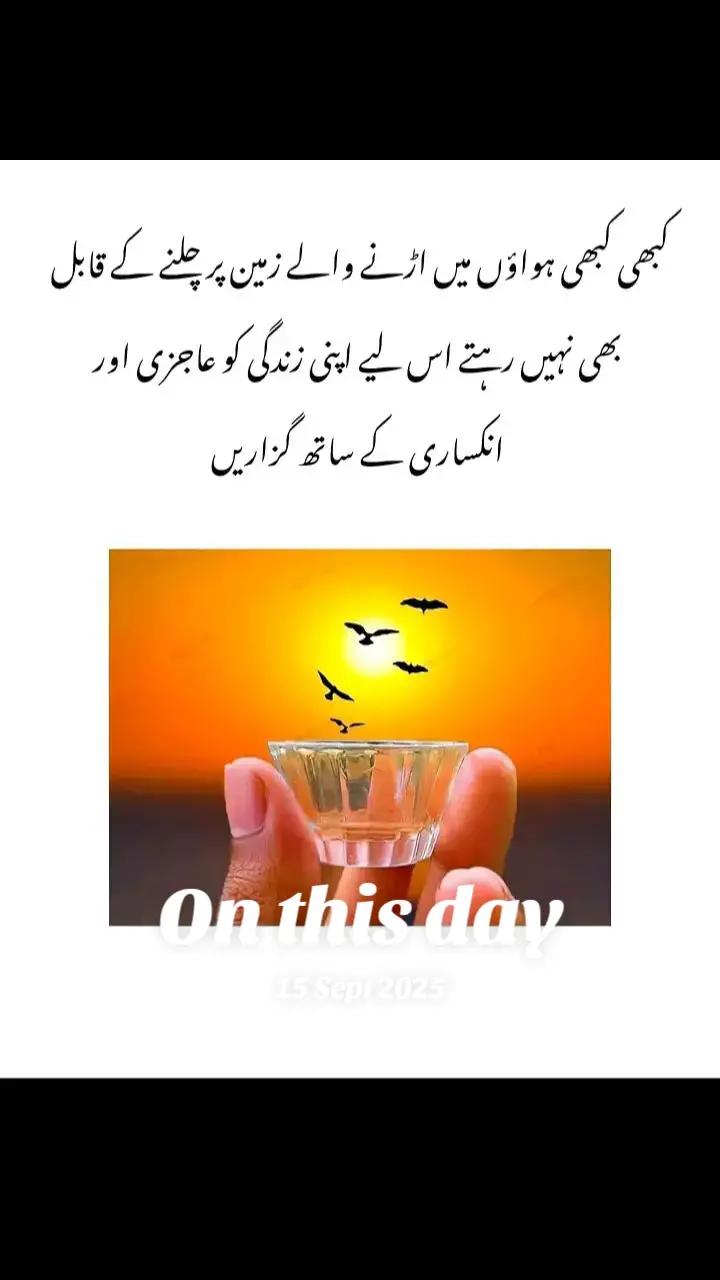 @Hania Malik🇬🇧