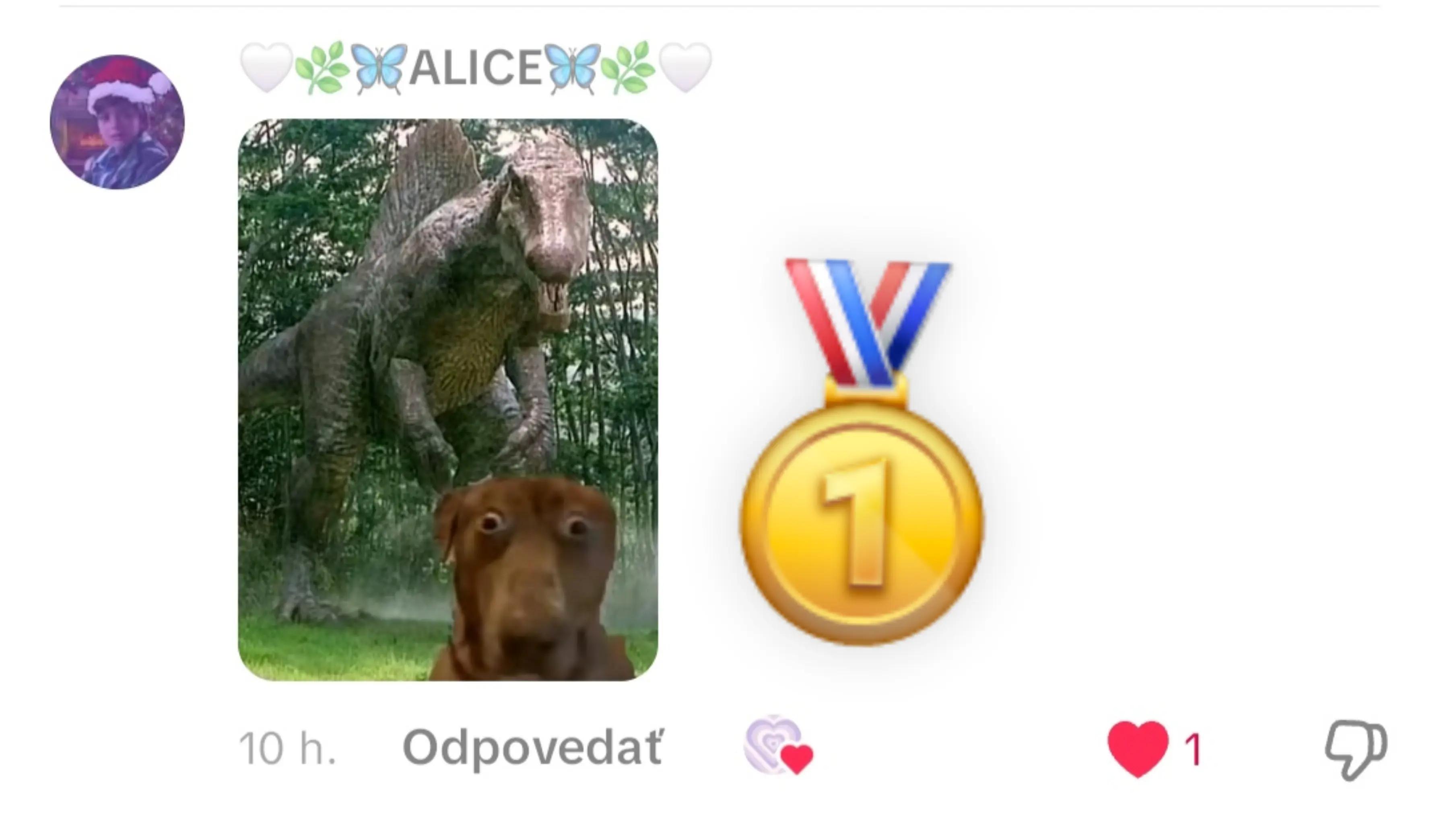 @katka