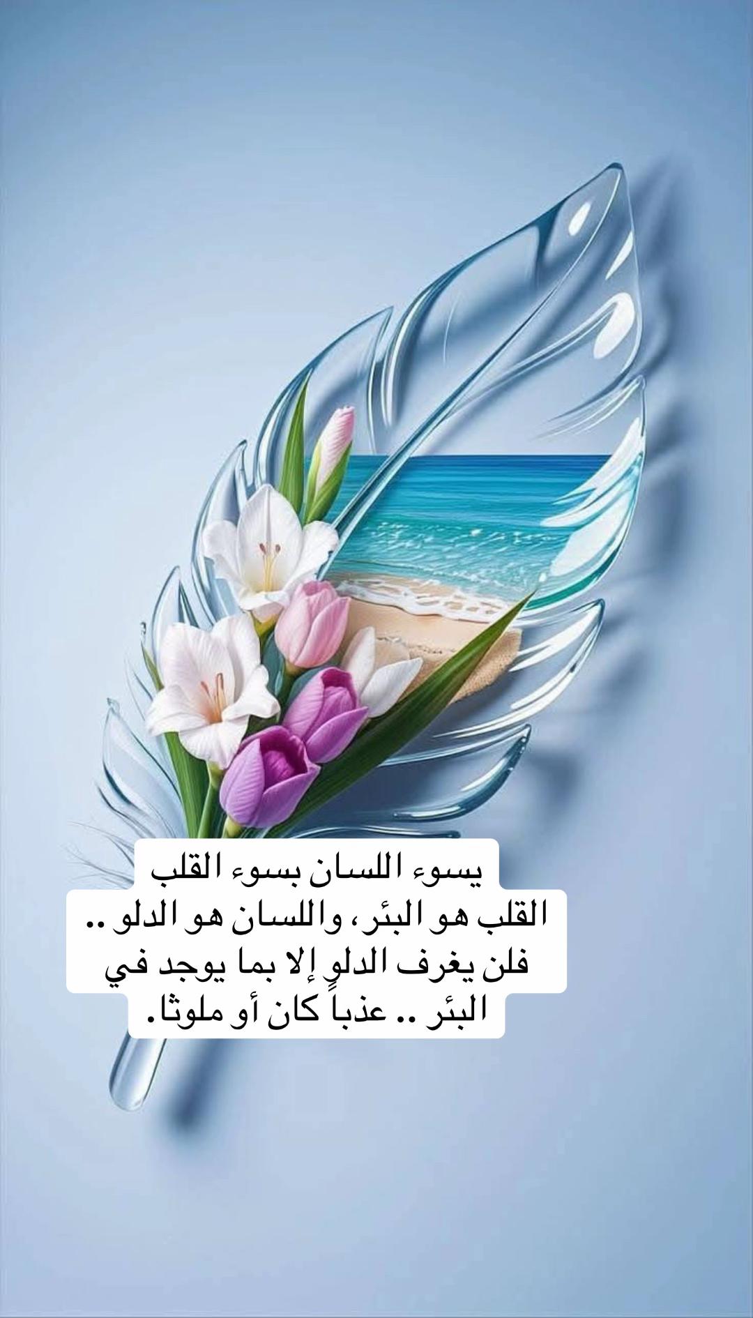 @So🦋so