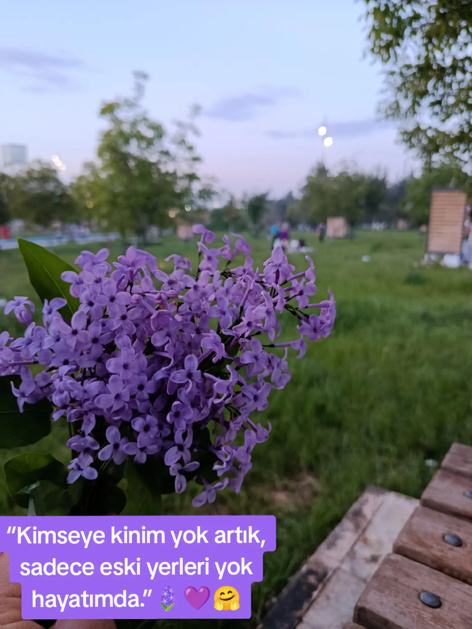 @Zeyno günn